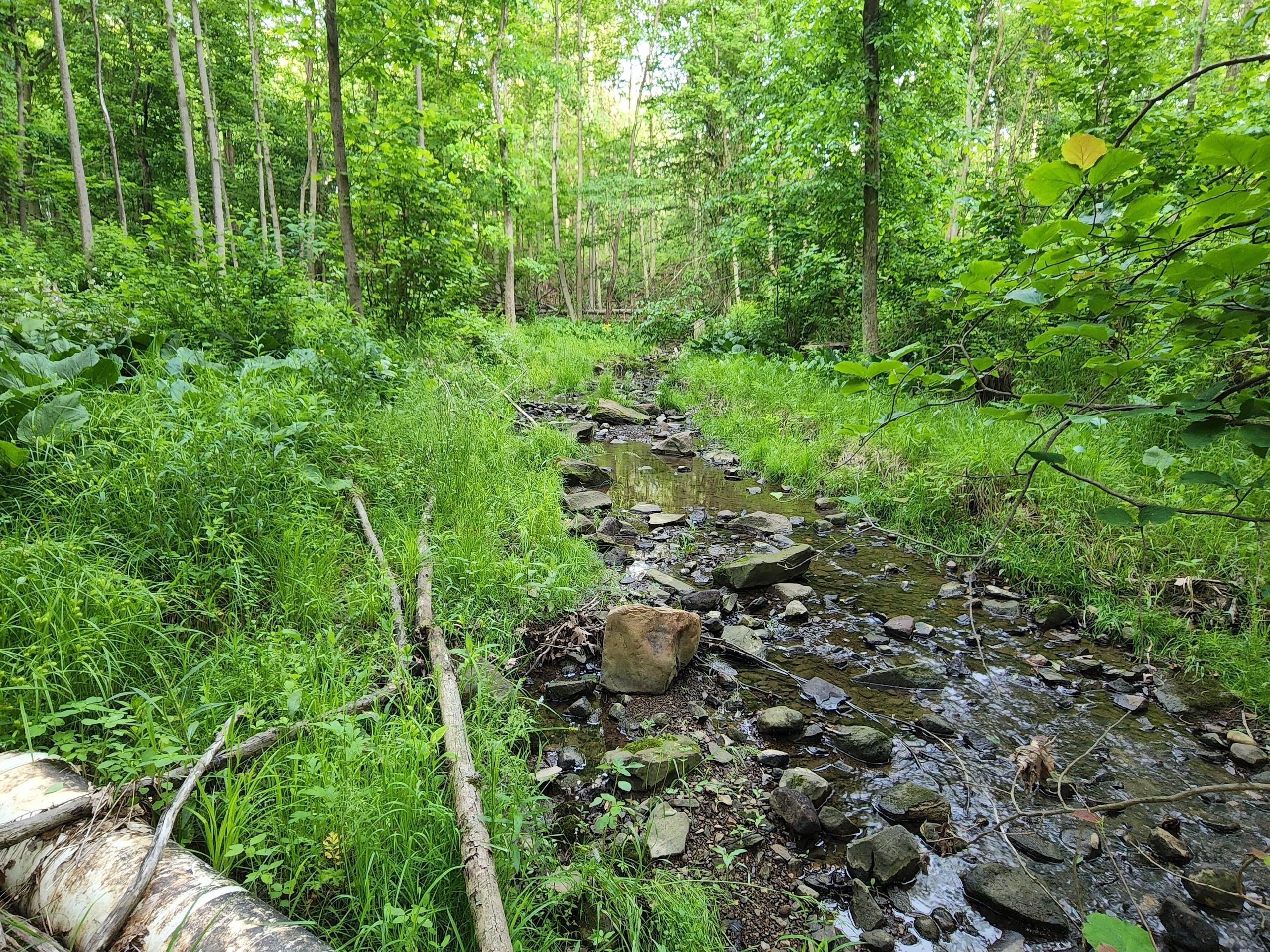 New Castle, Lawrence County, PA Recreational Property, Hunting Property
