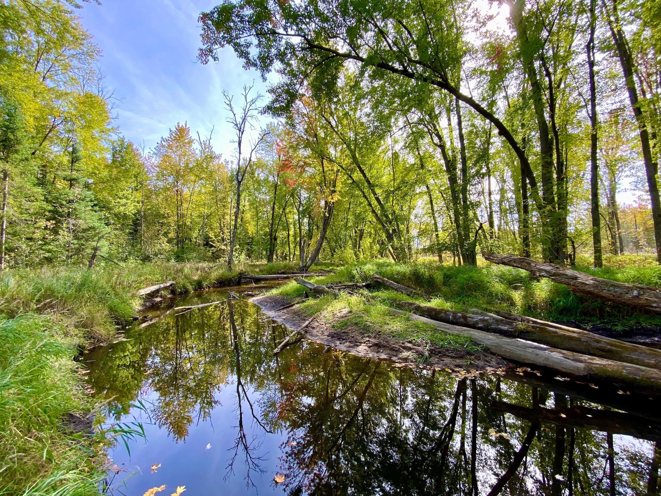 Posen, Alpena County, MI Recreational Property, Timberland Property