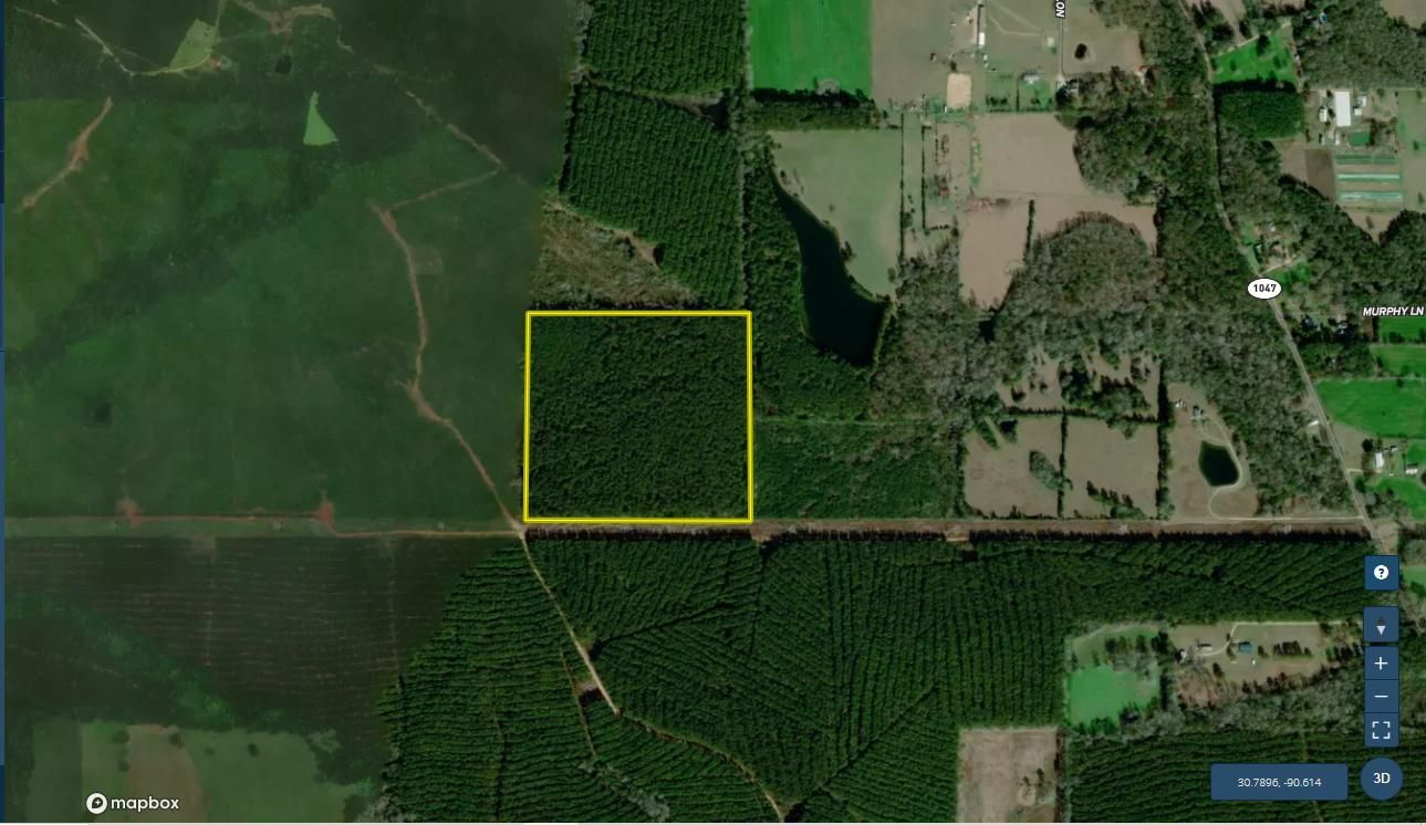 Amite, Saint Helena Parish, LA Recreational Property, Timberland Property, Hunting Property for