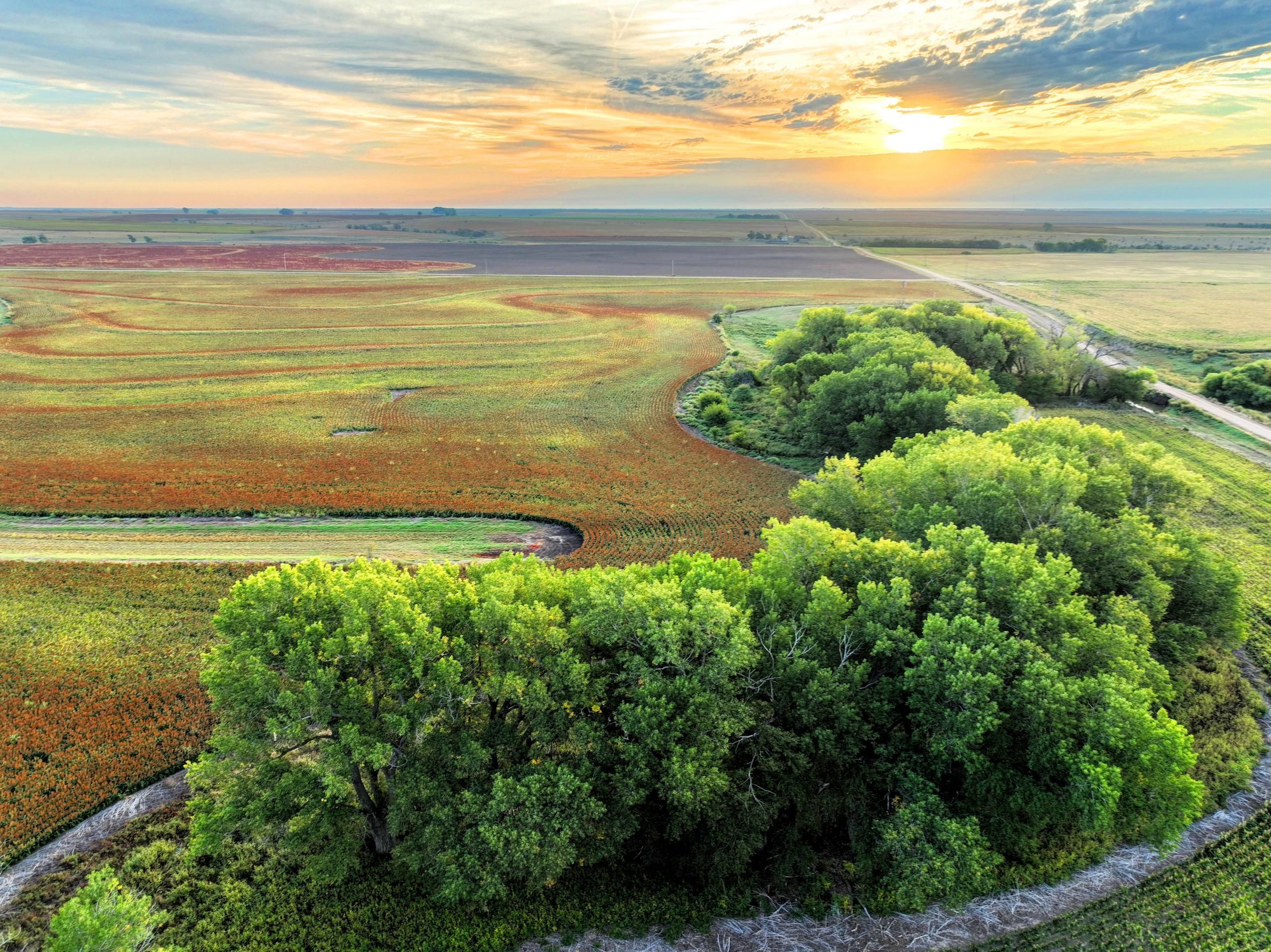 Rozel, Pawnee County, KS Farms and Ranches, Timberland Property