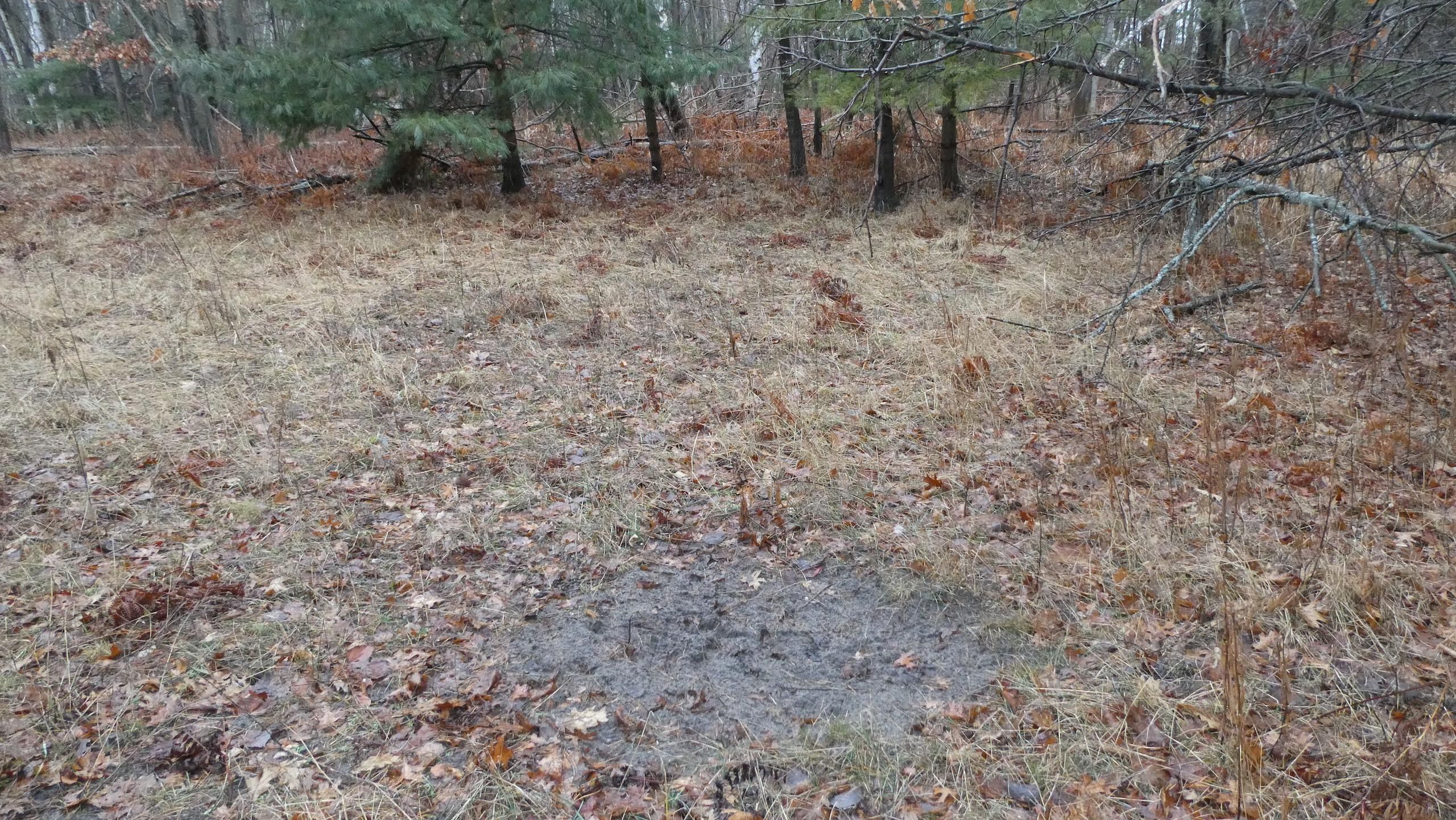 Twining, Arenac County, MI Recreational Property, Timberland Property