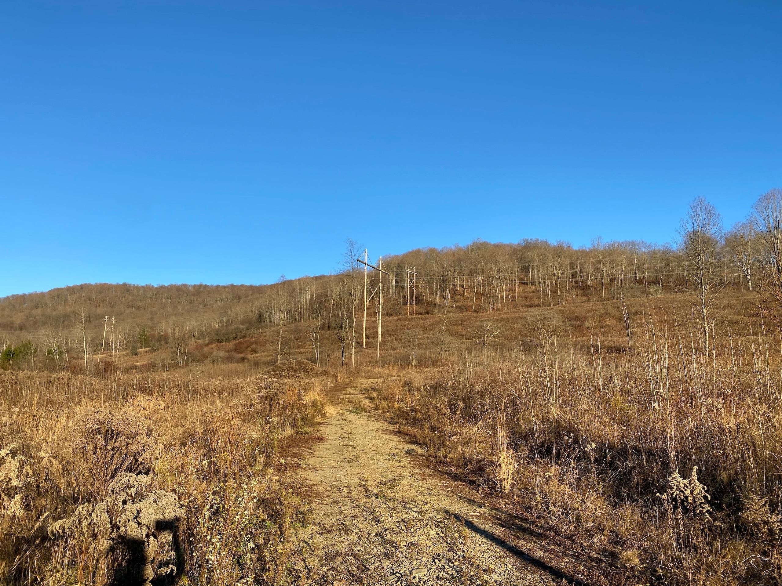 Smethport, McKean County, PA Recreational Property, Timberland Property