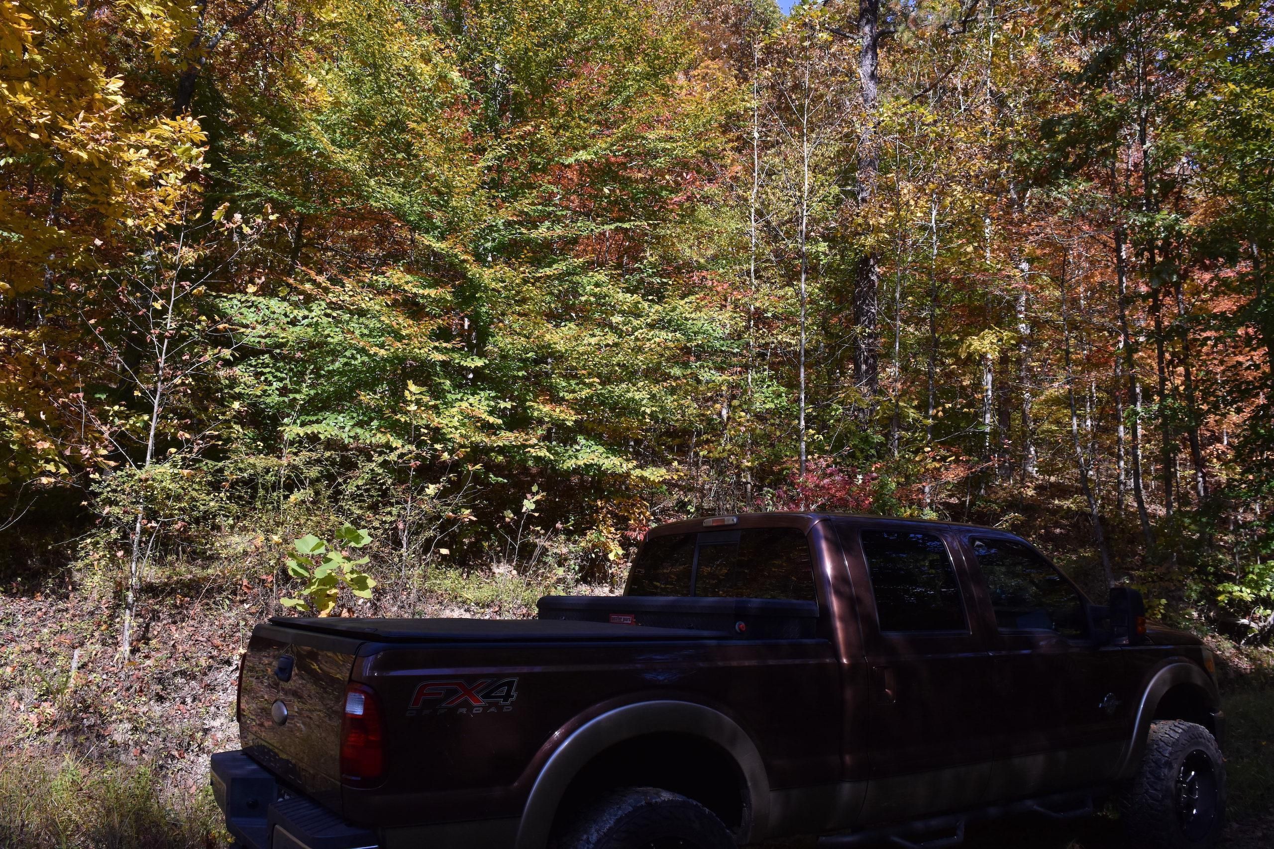 Grayson, Carter County, KY Recreational Property, Timberland Property