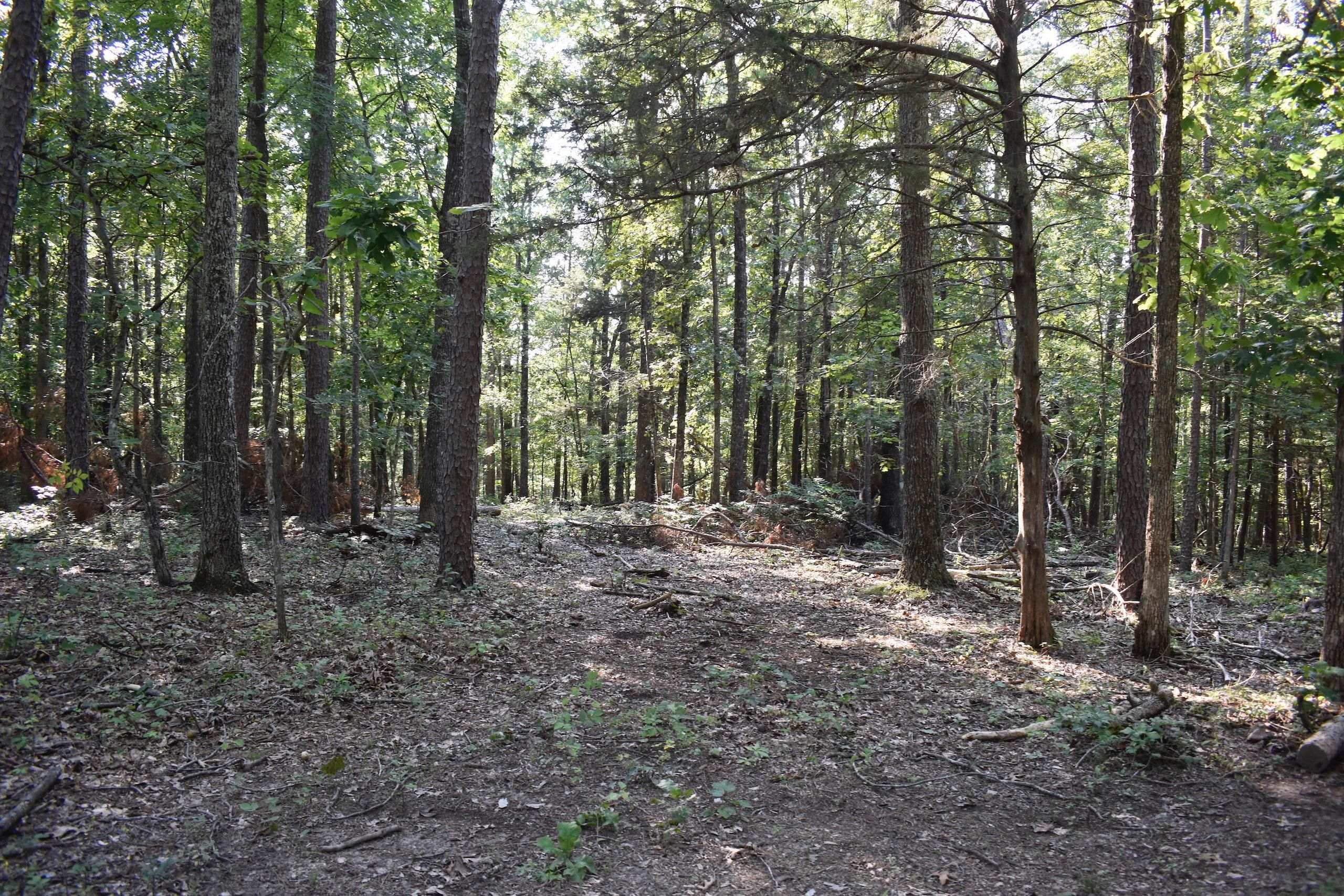 Highway VV, Lot WP003, Licking, MO 65542 LandWatch