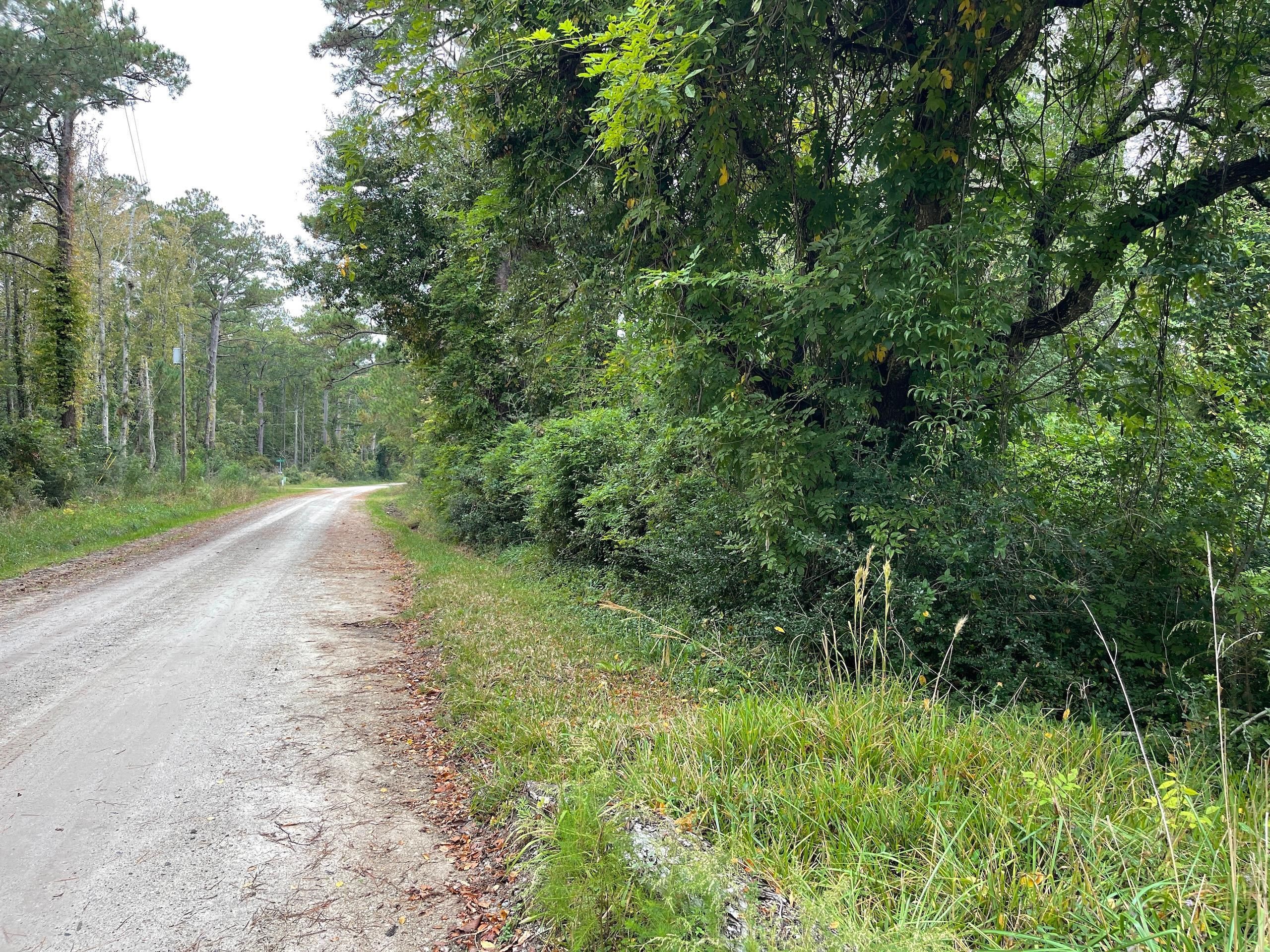 Harkers Island, Carteret County, NC Recreational Property, Timberland