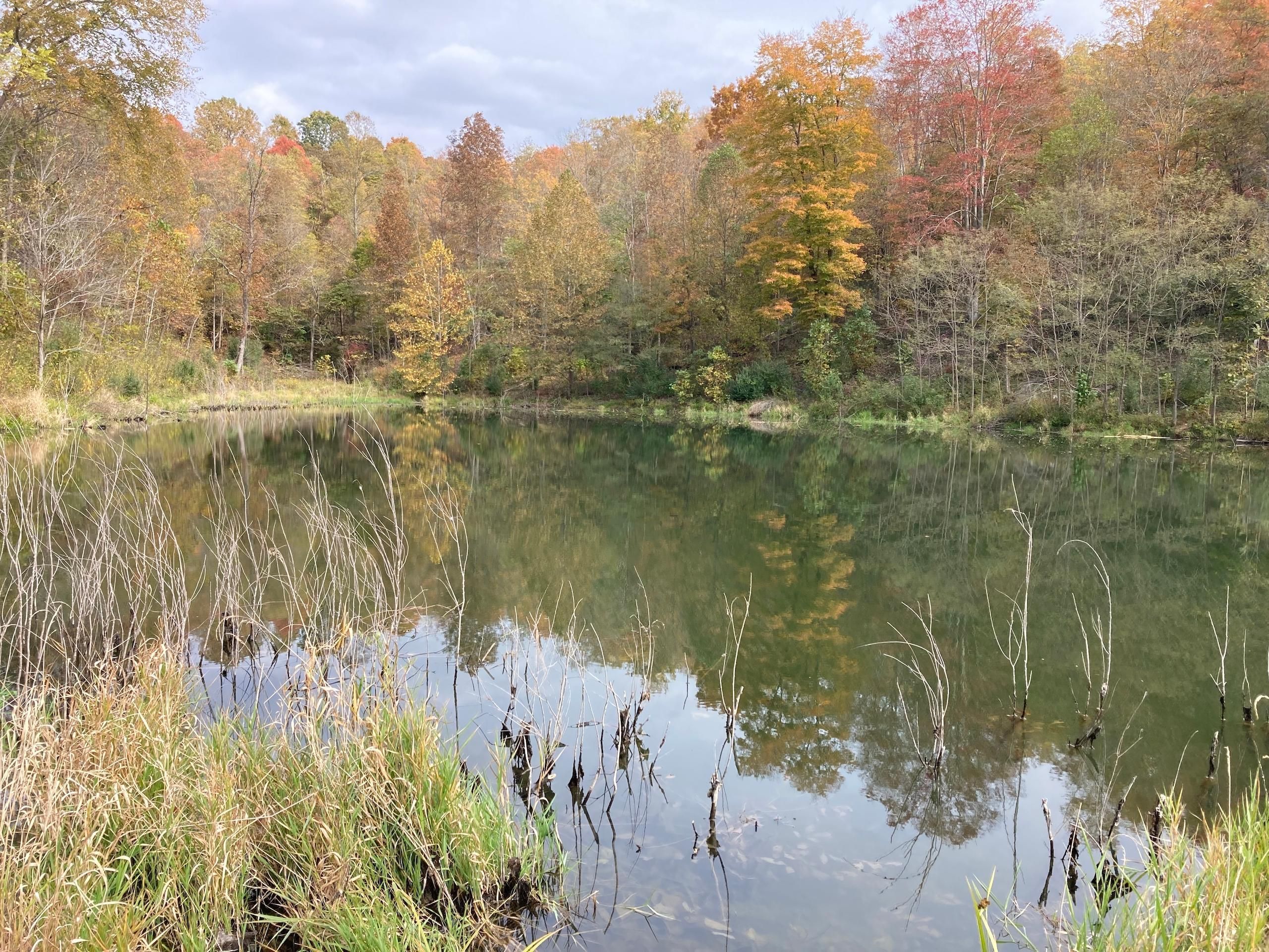 Caldwell, Noble County, OH Recreational Property, Timberland Property