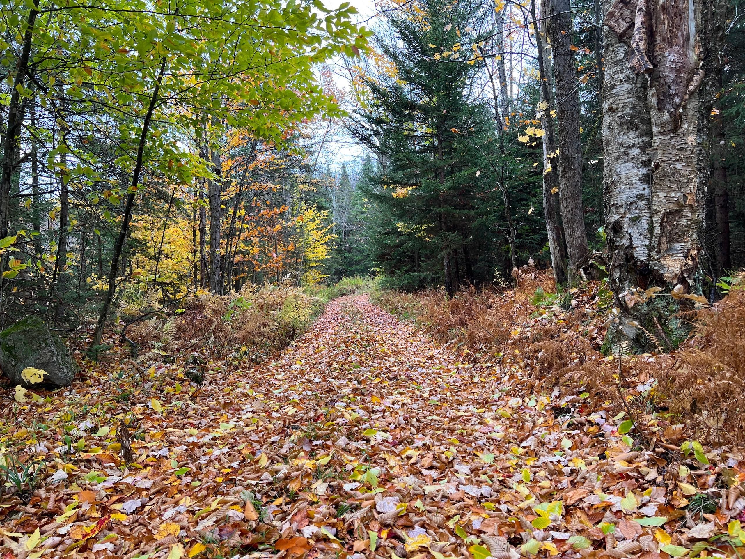 South Colton, Saint Lawrence County, NY Recreational Property
