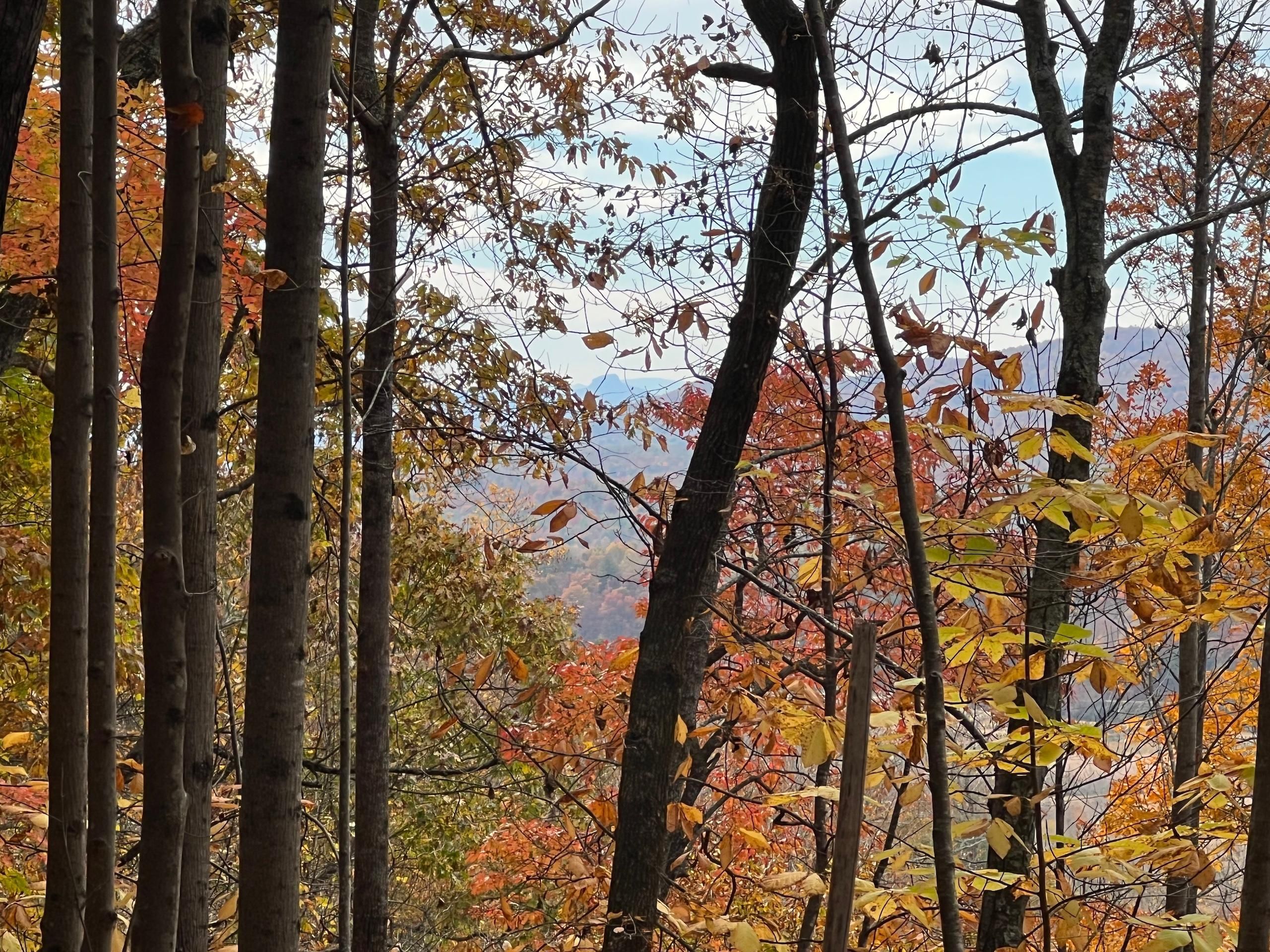 Lenoir, Caldwell County, NC Recreational Property, Timberland Property
