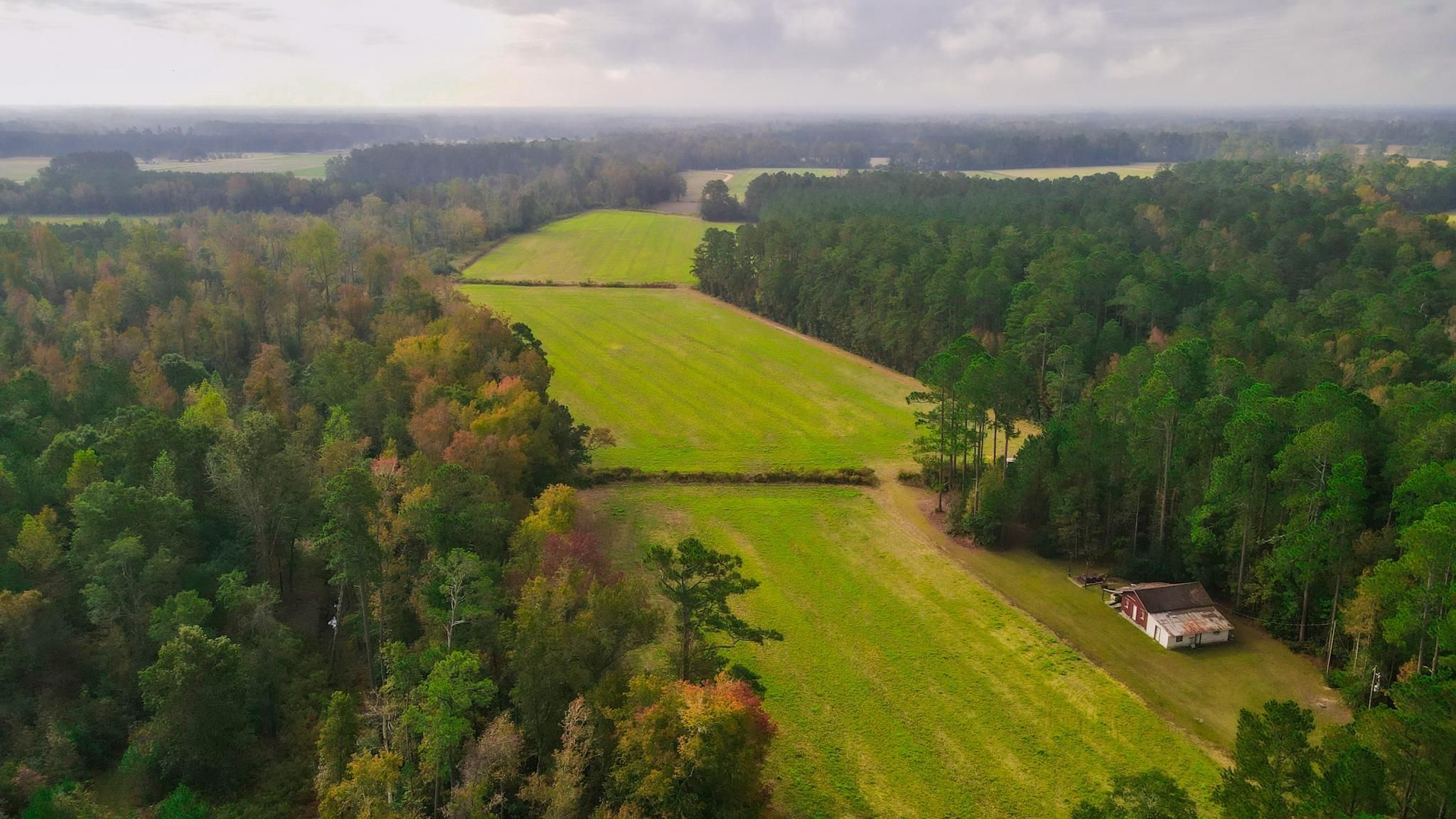 Green Sea, Horry County, SC Recreational Property, Timberland Property