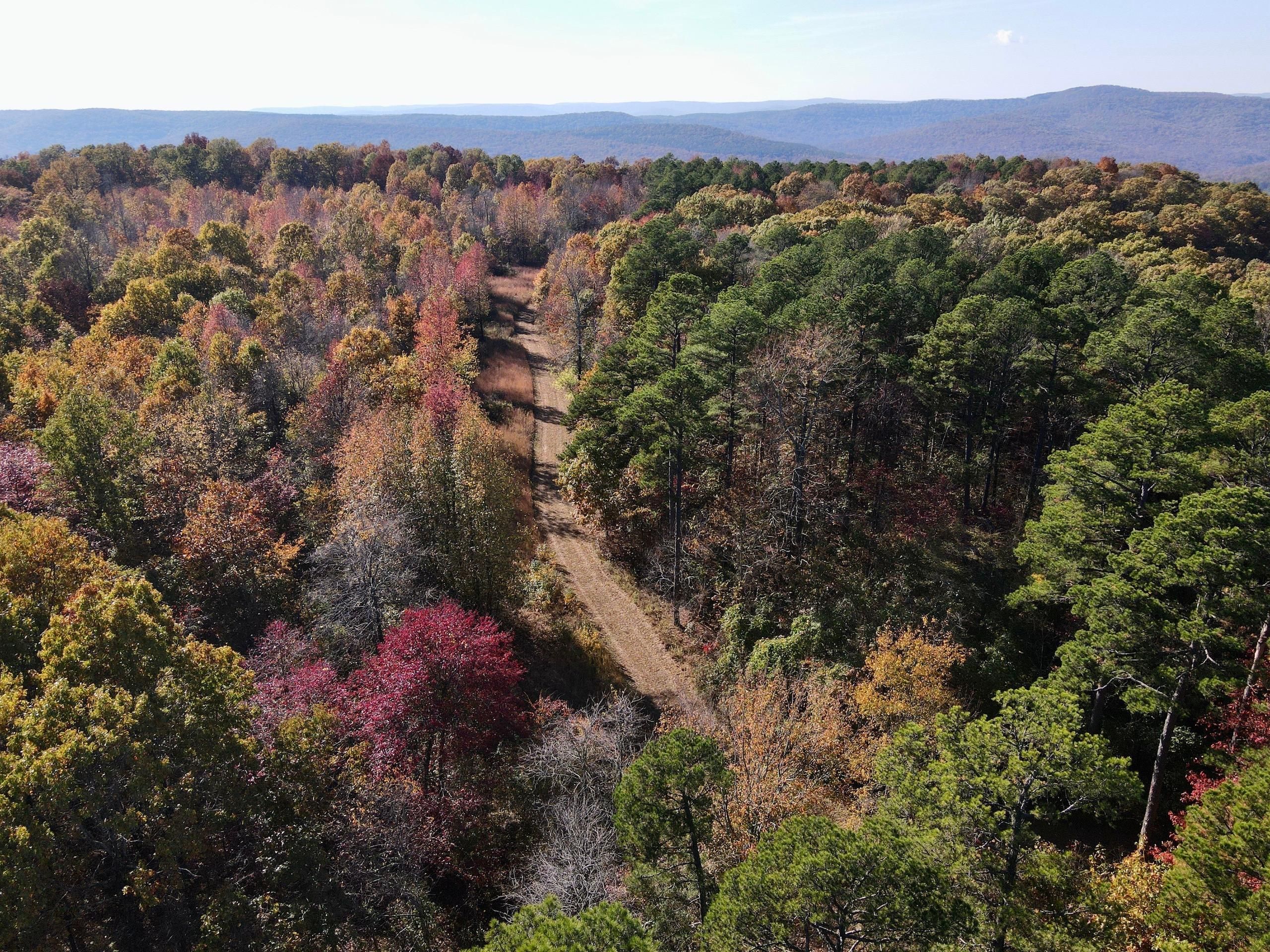 001 Outback Lane, Hector, AR 72843 LandWatch