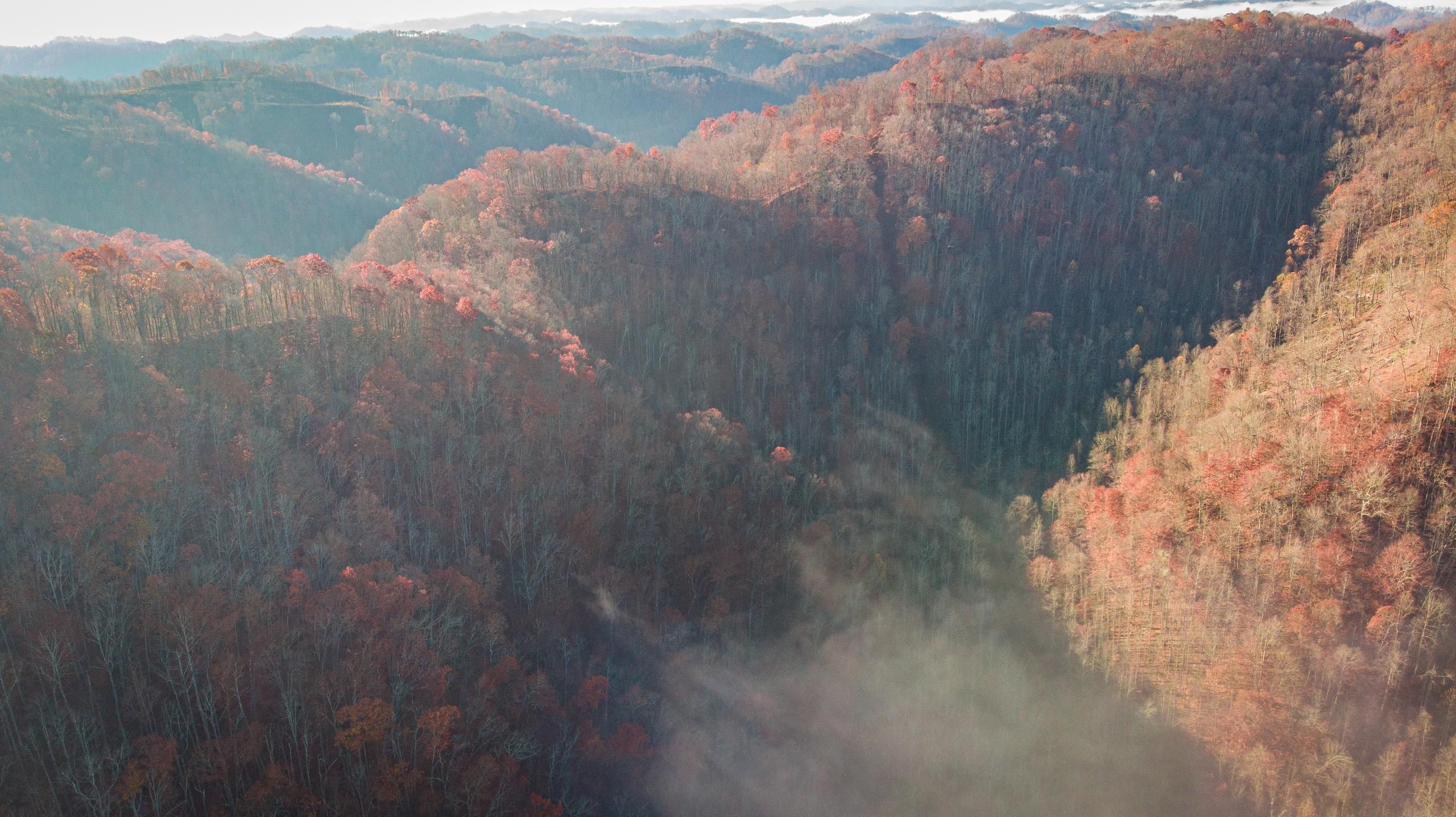 Brenton, Wyoming County, WV Recreational Property, Timberland Property