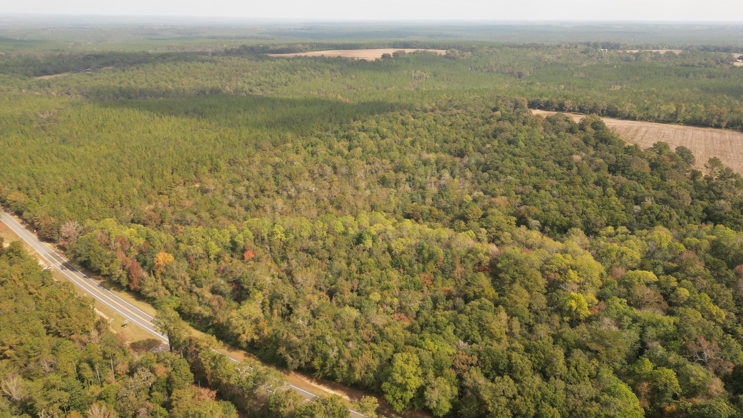 Jay, Santa Rosa County, FL Recreational Property, Timberland Property