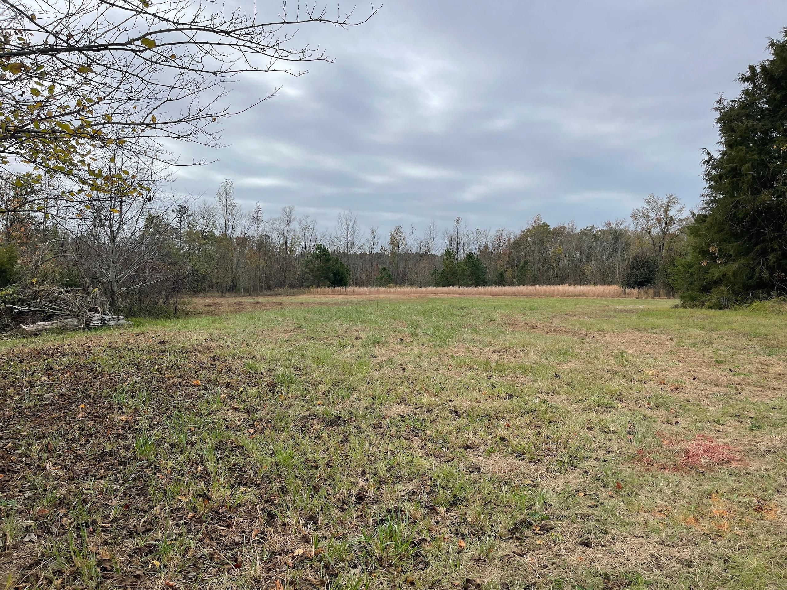 Goldsboro, Wayne County, NC Timberland Property, Homesites for sale