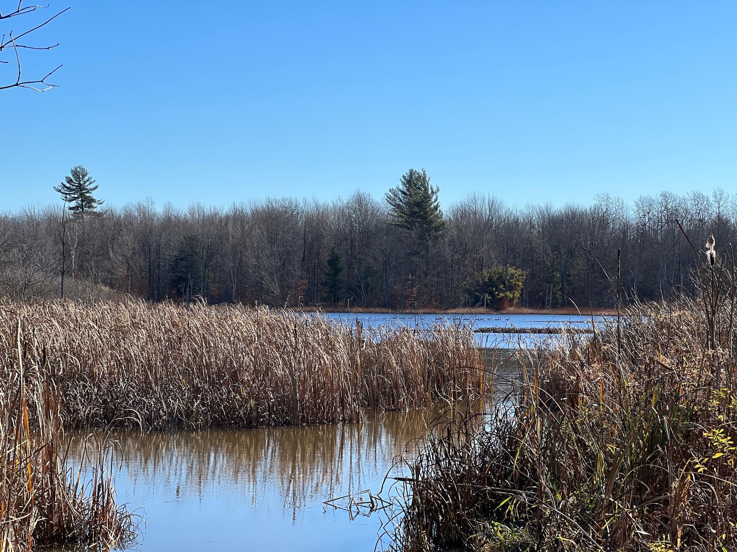 East Route 126, LotWP001, Theresa, NY 13691 LandWatch