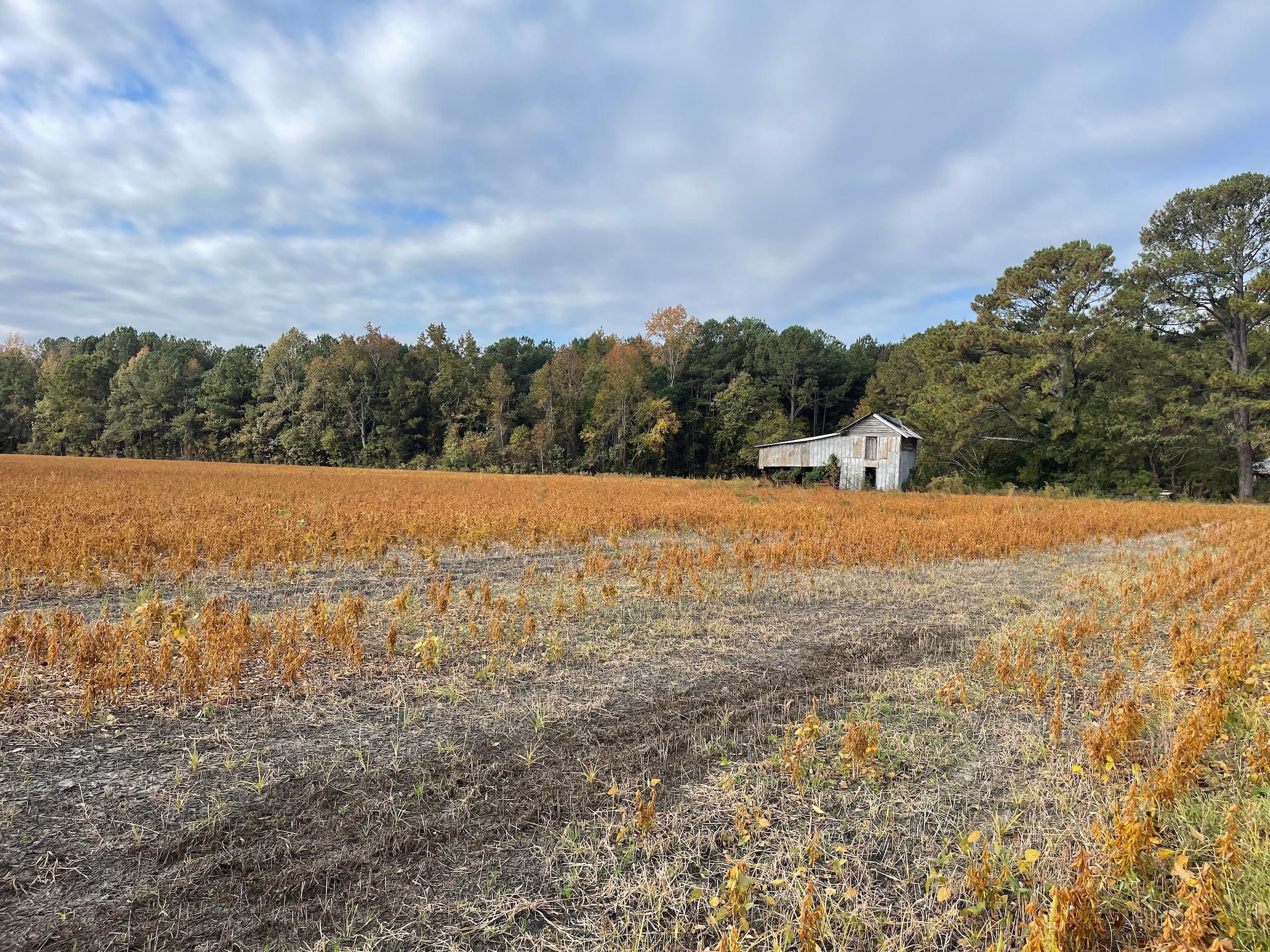 Selma, Johnston County, NC Recreational Property, Timberland Property