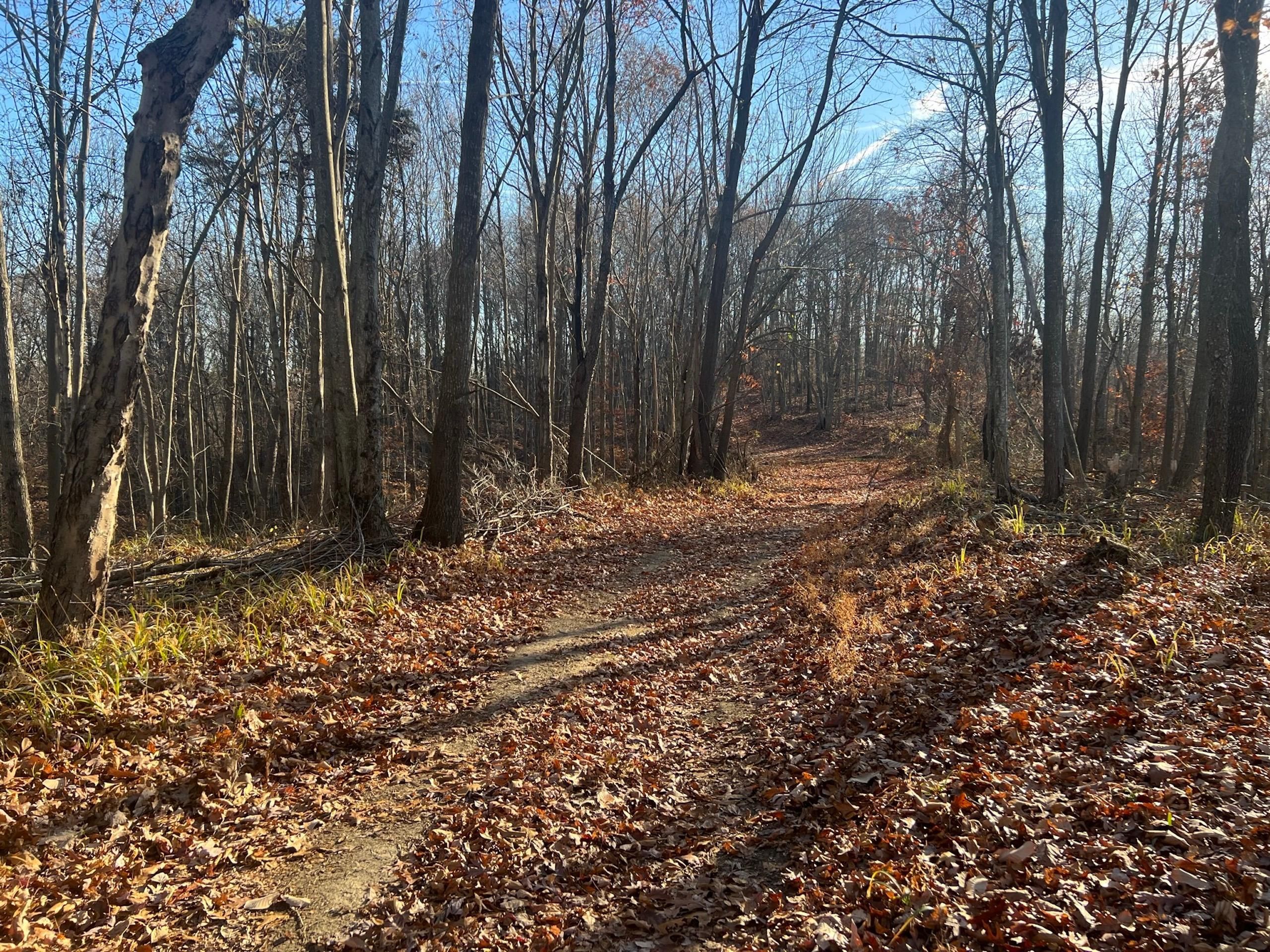 Portsmouth, Scioto County, OH Recreational Property, Timberland