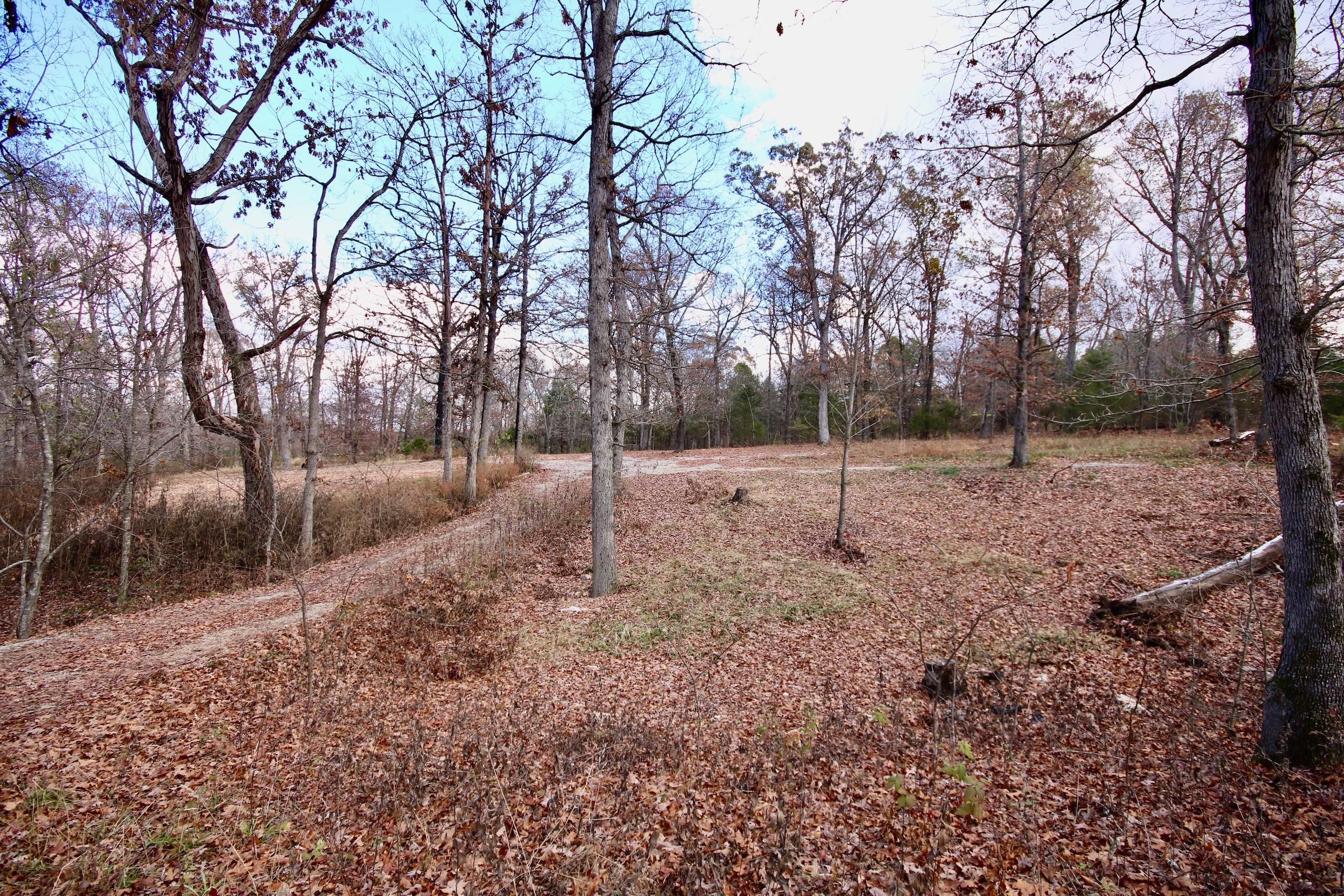 Pineville, McDonald County, MO Recreational Property, Timberland