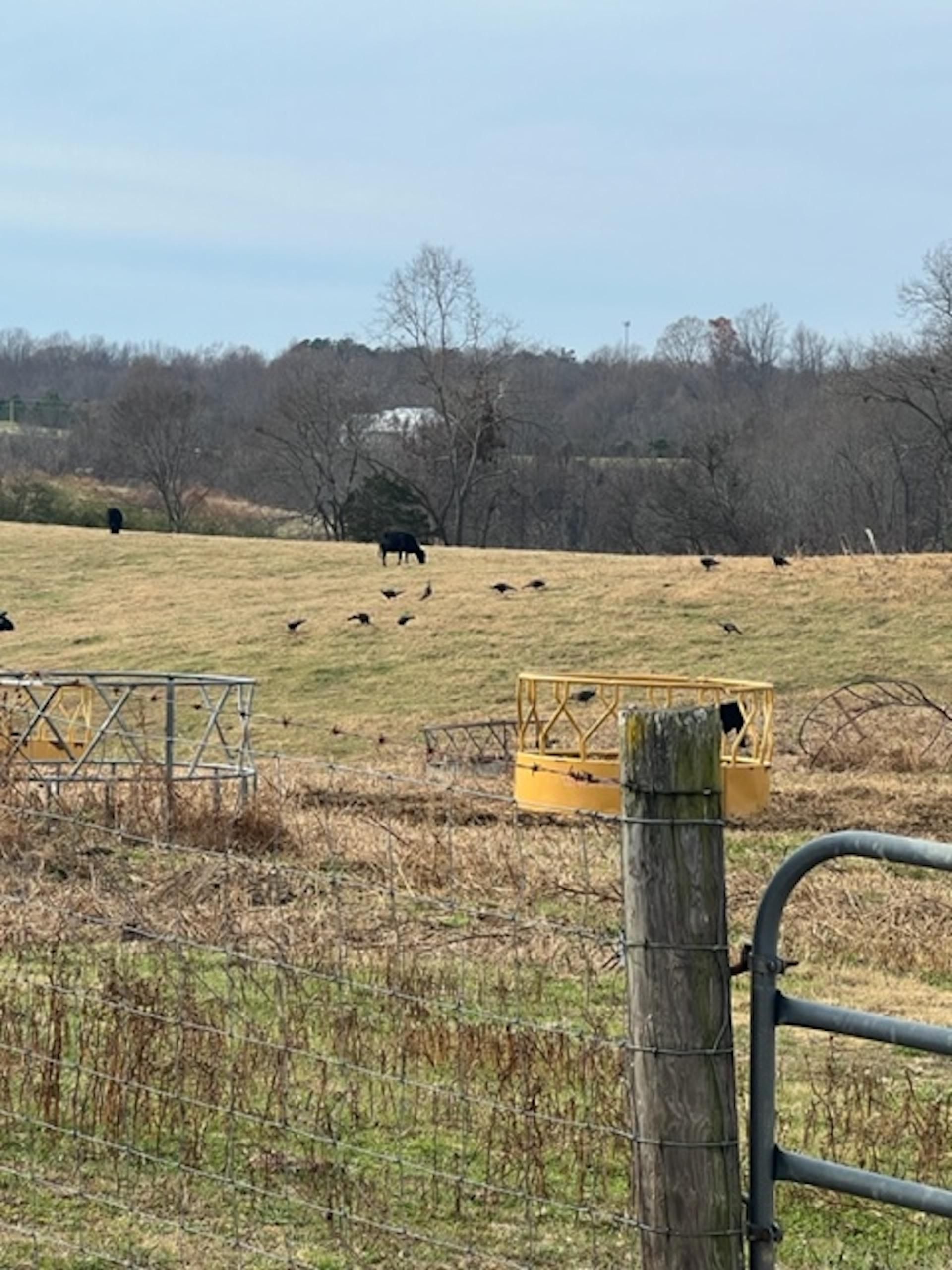 Pullum Circle, LotWP001, Baxter, TN 38544 LandWatch