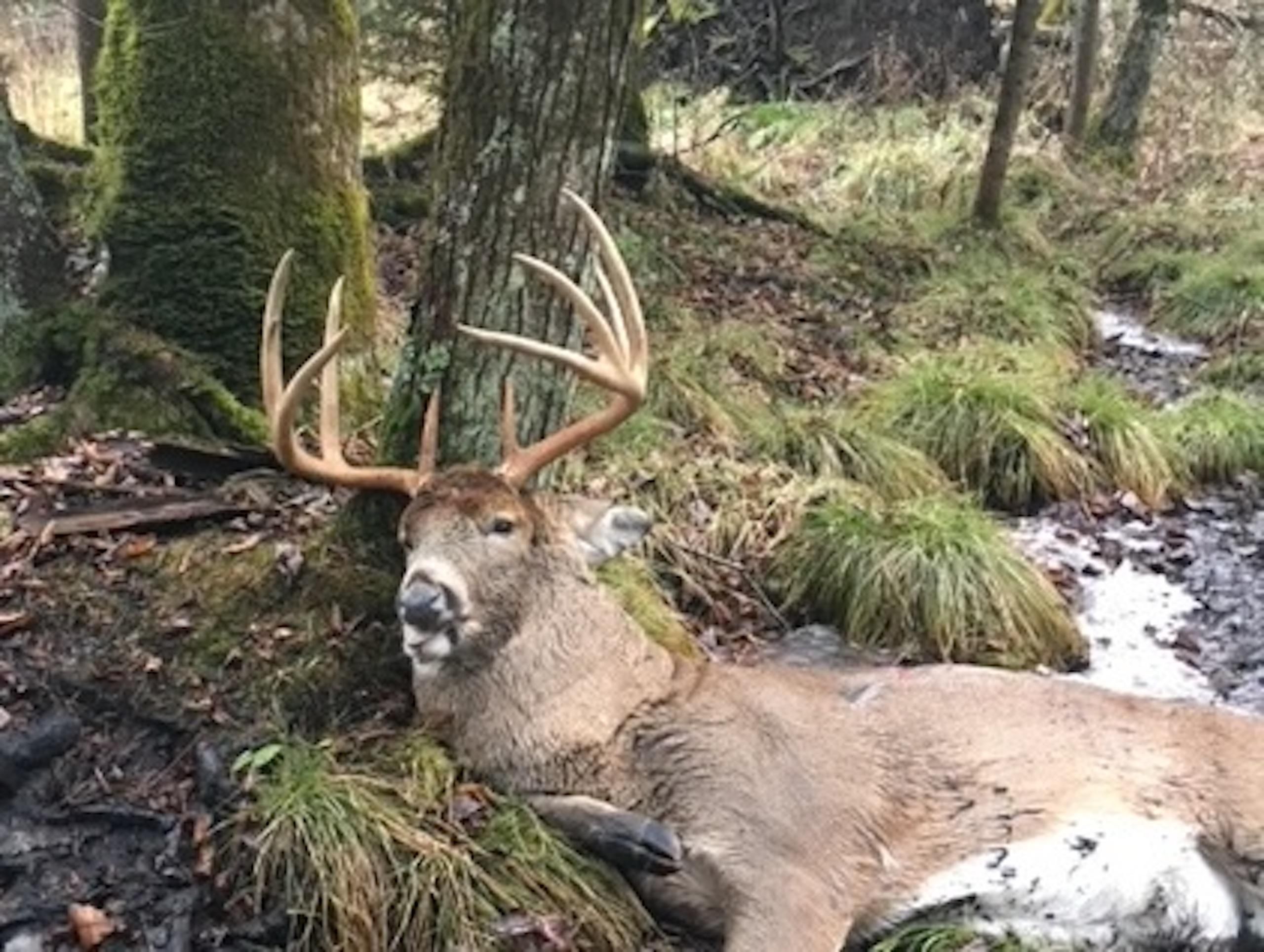 Birnamwood, Shawano County, WI Farms and Ranches, Hunting Property for