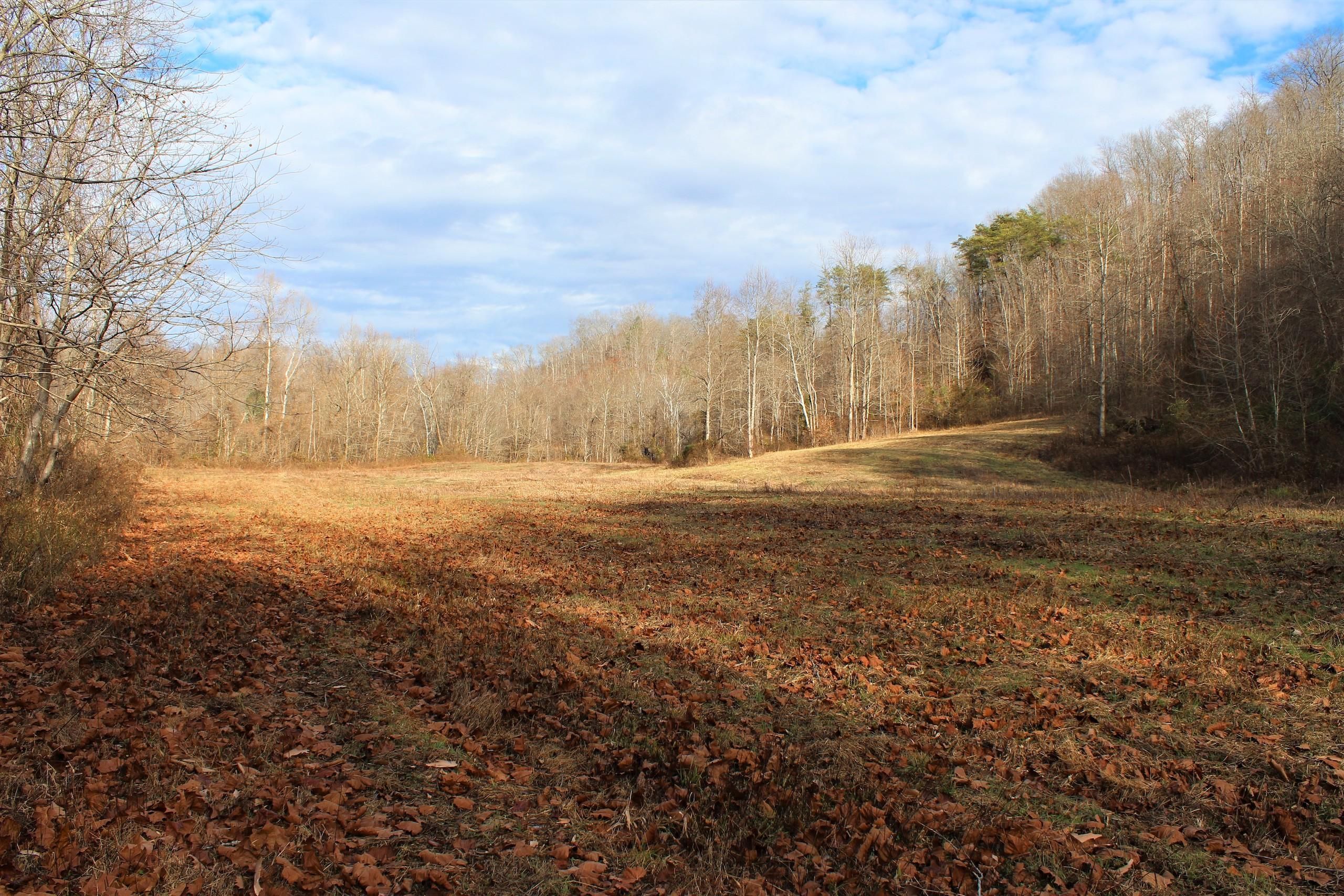 KY 378 Lot Wp002, Vancleve, KY 41385 LandWatch