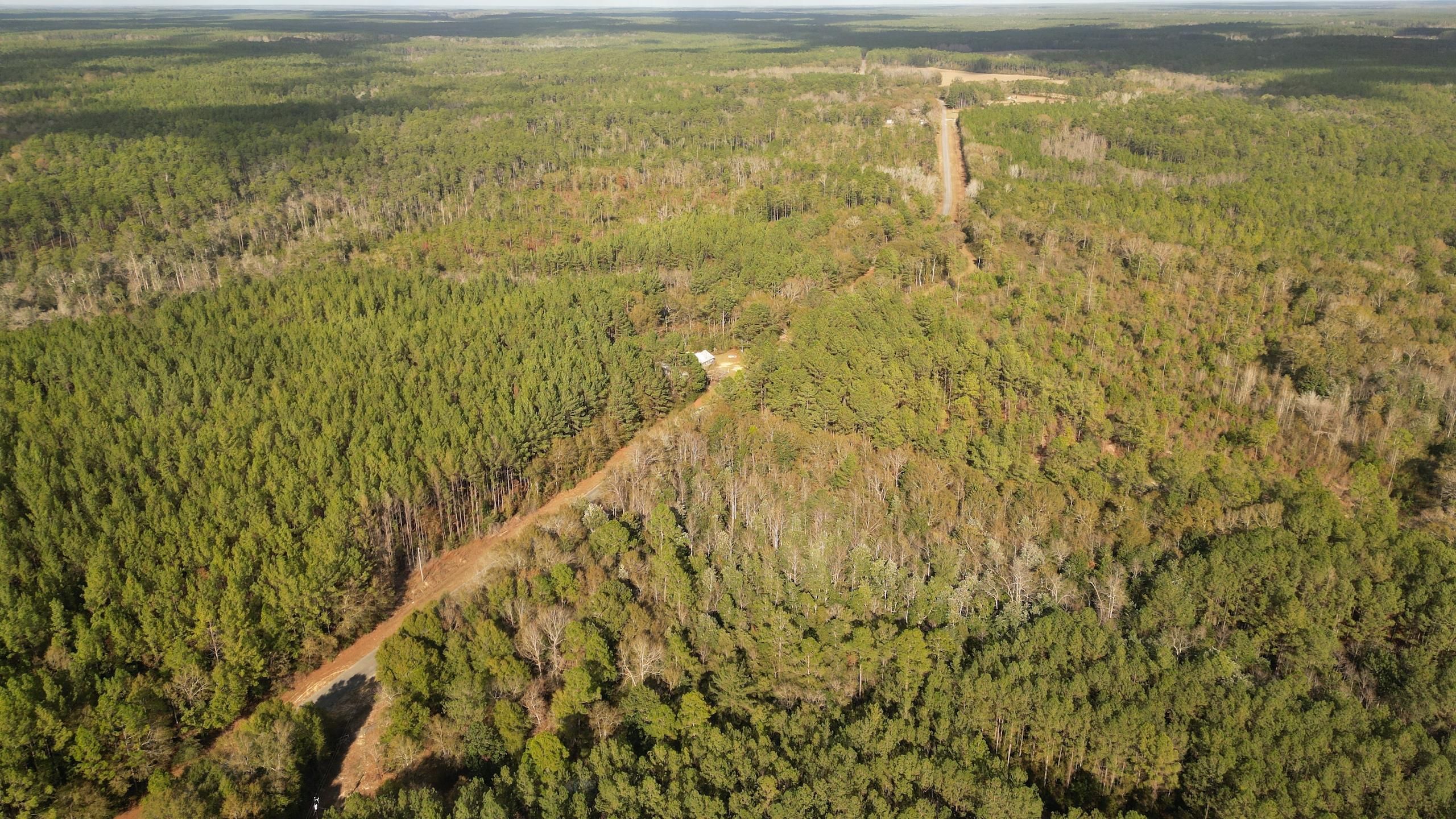 Wing, Covington County, AL Recreational Property, Timberland Property