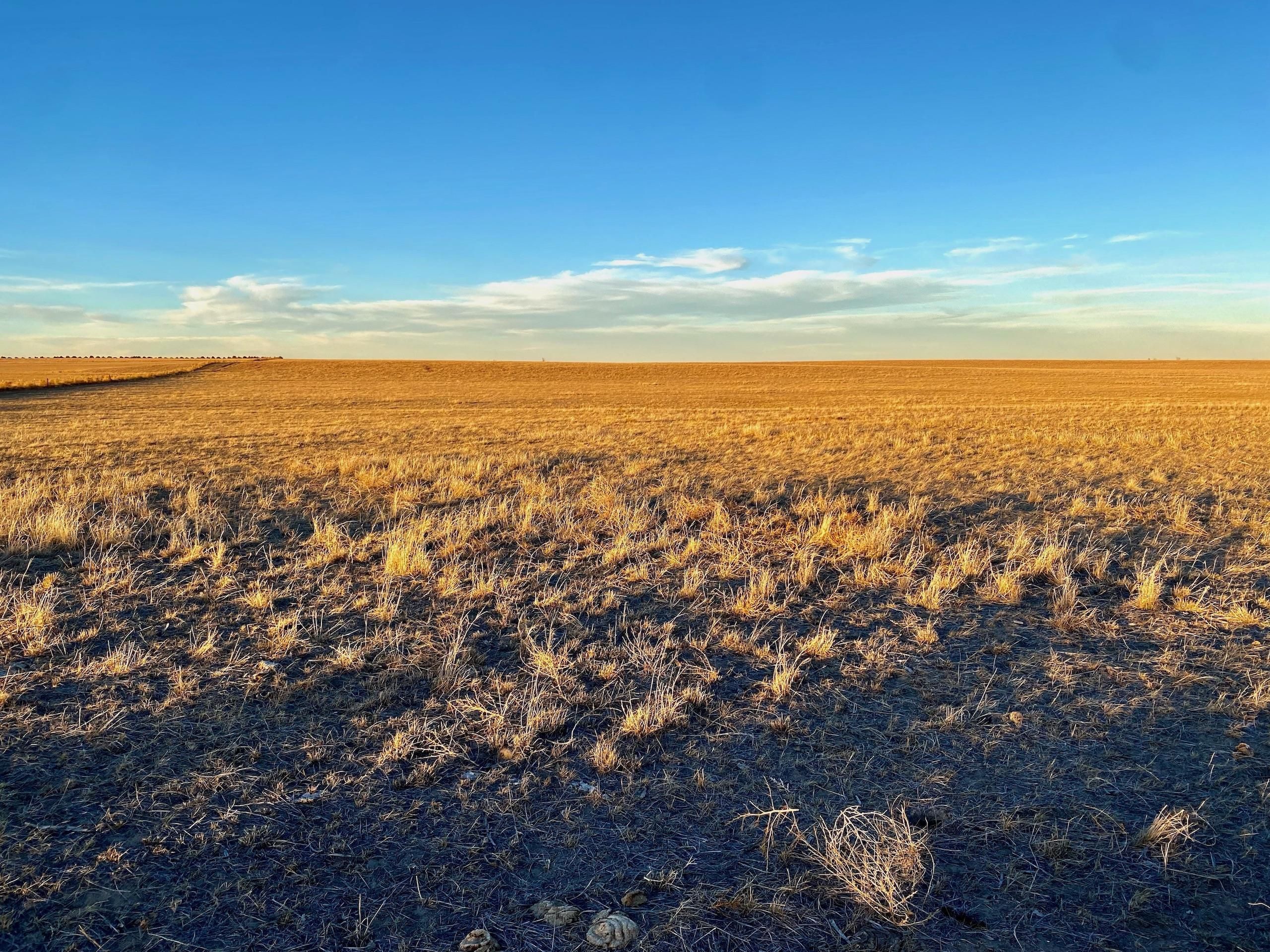 County Road 3, LotWP001, Haxtun, CO 80731 LandWatch