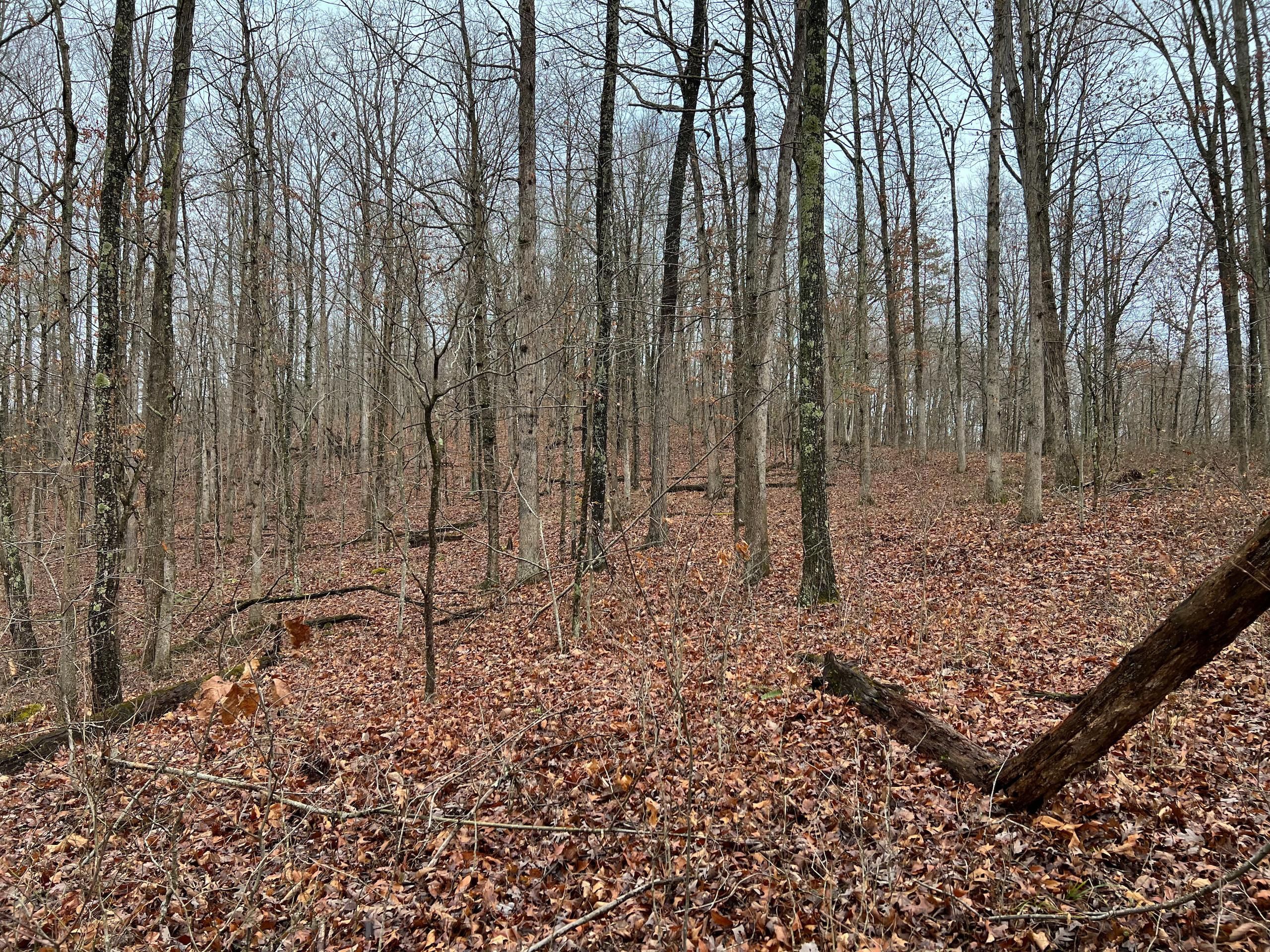 Elizabeth, Wirt County, WV Recreational Property, Timberland Property