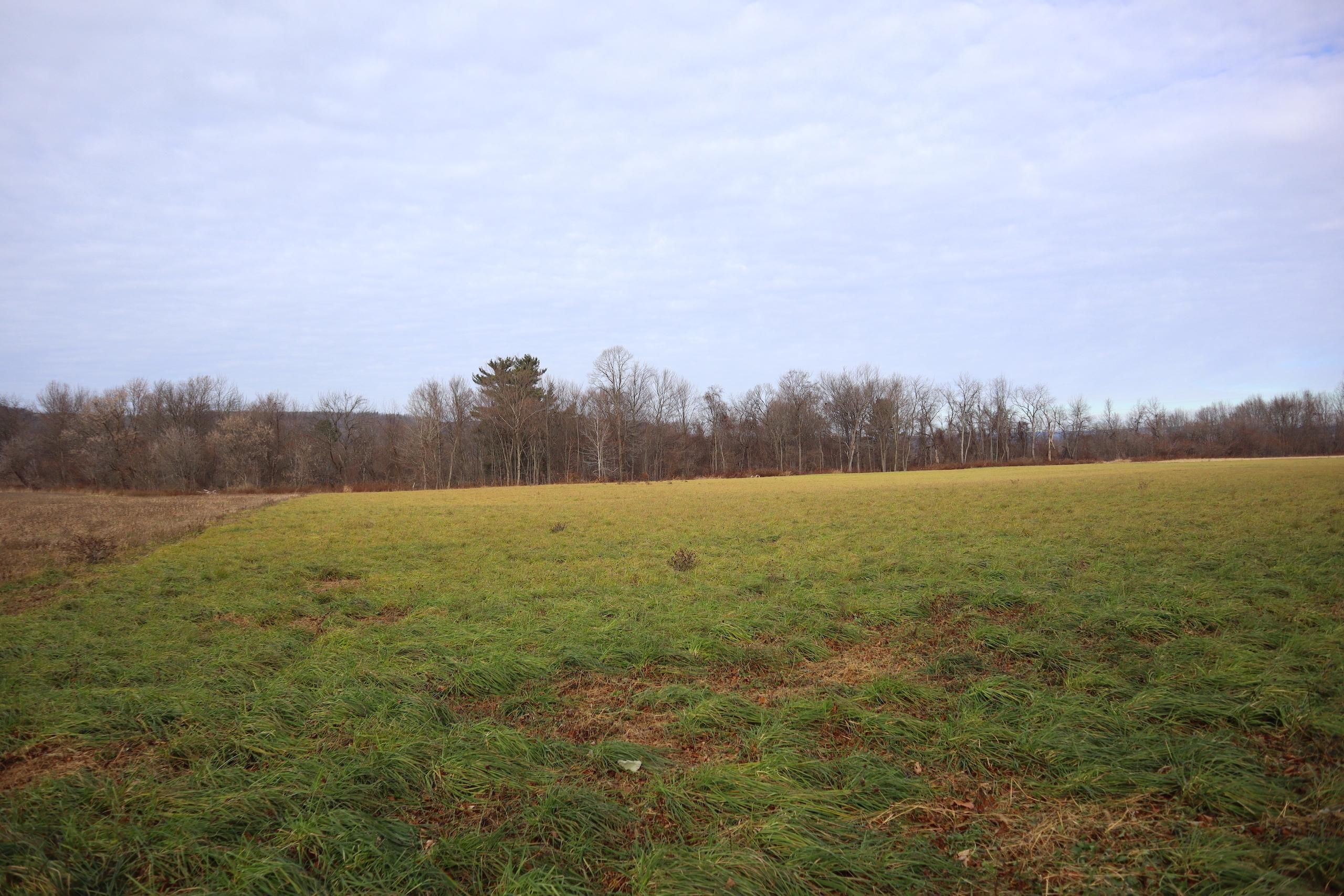 Sprakers, Montgomery County, NY Recreational Property, Timberland Property, Hunting Property for
