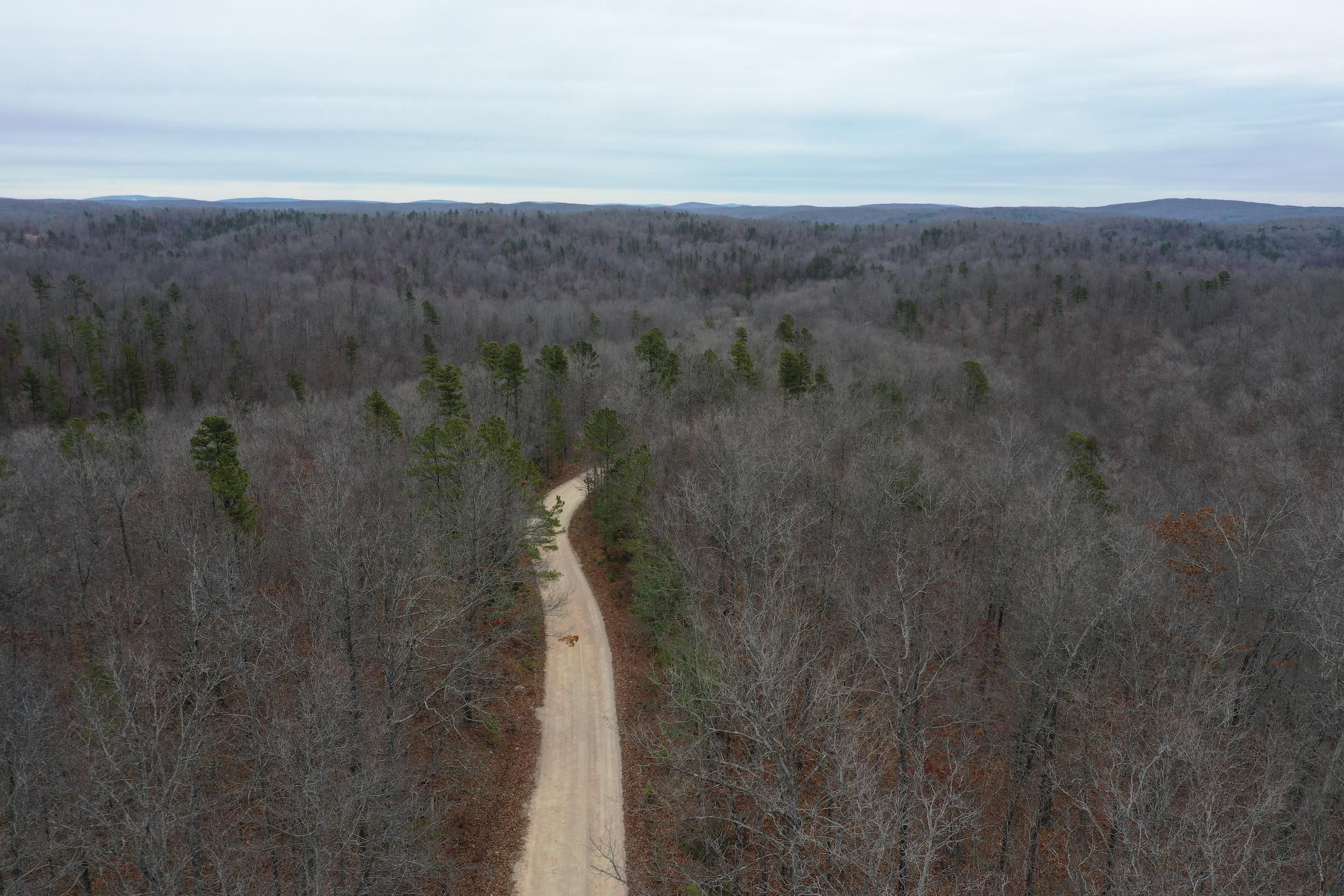 CR 448, LotWP001, Redford, MO 63665 LandWatch