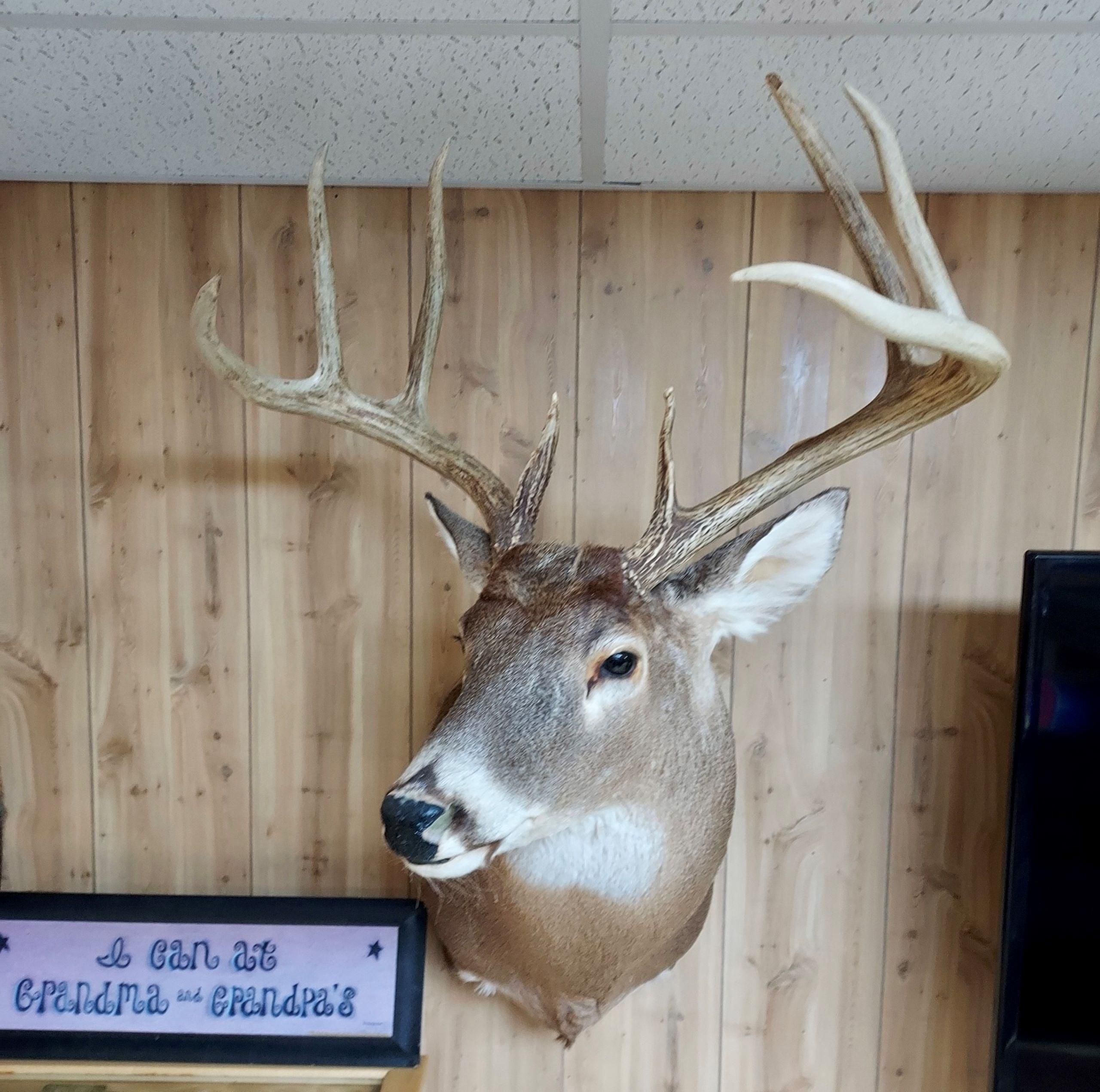 Equality, Gallatin County, IL Recreational Property, Timberland Property, Hunting Property for