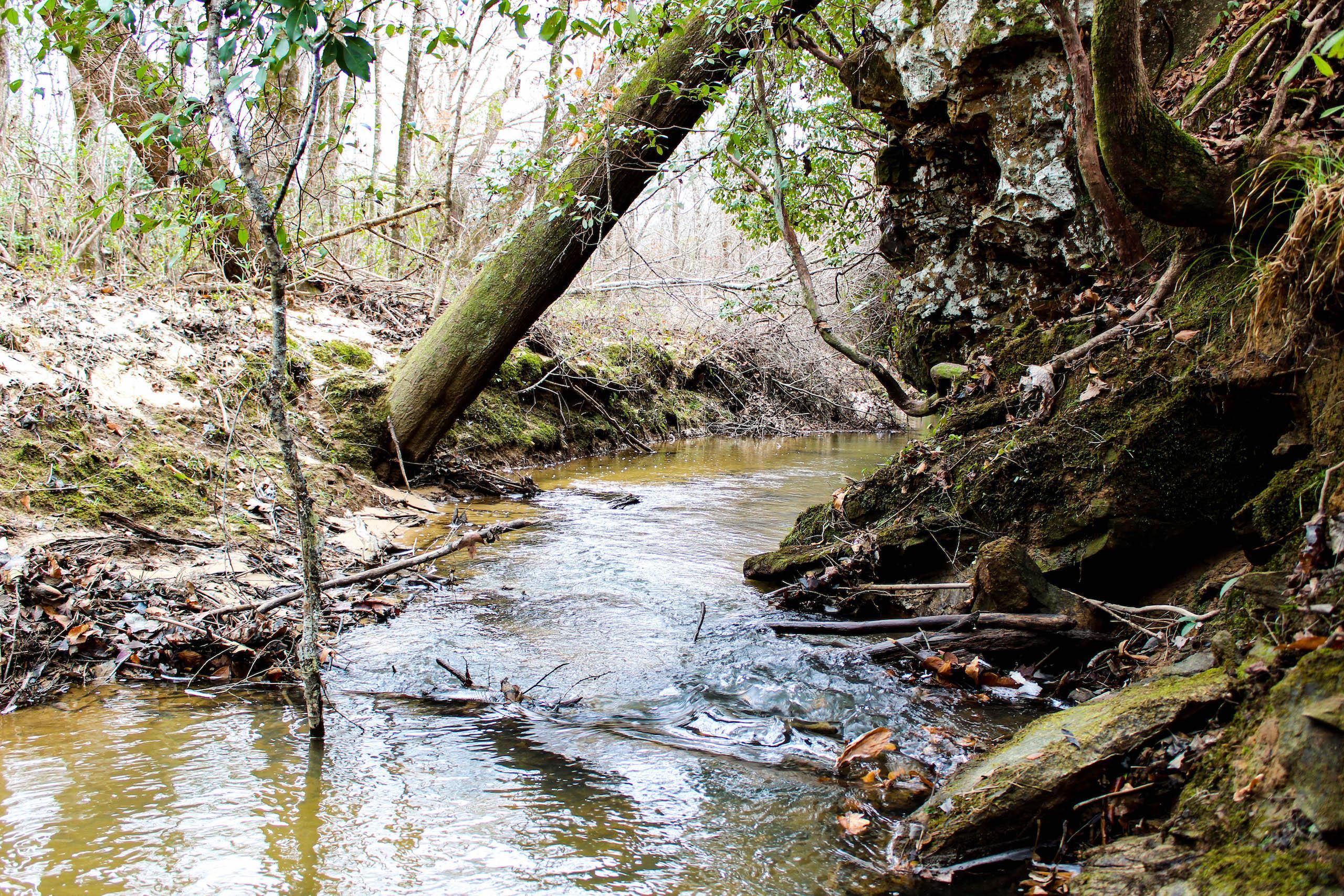 70 acres in Nauvoo, AL, 35578 LandWatch