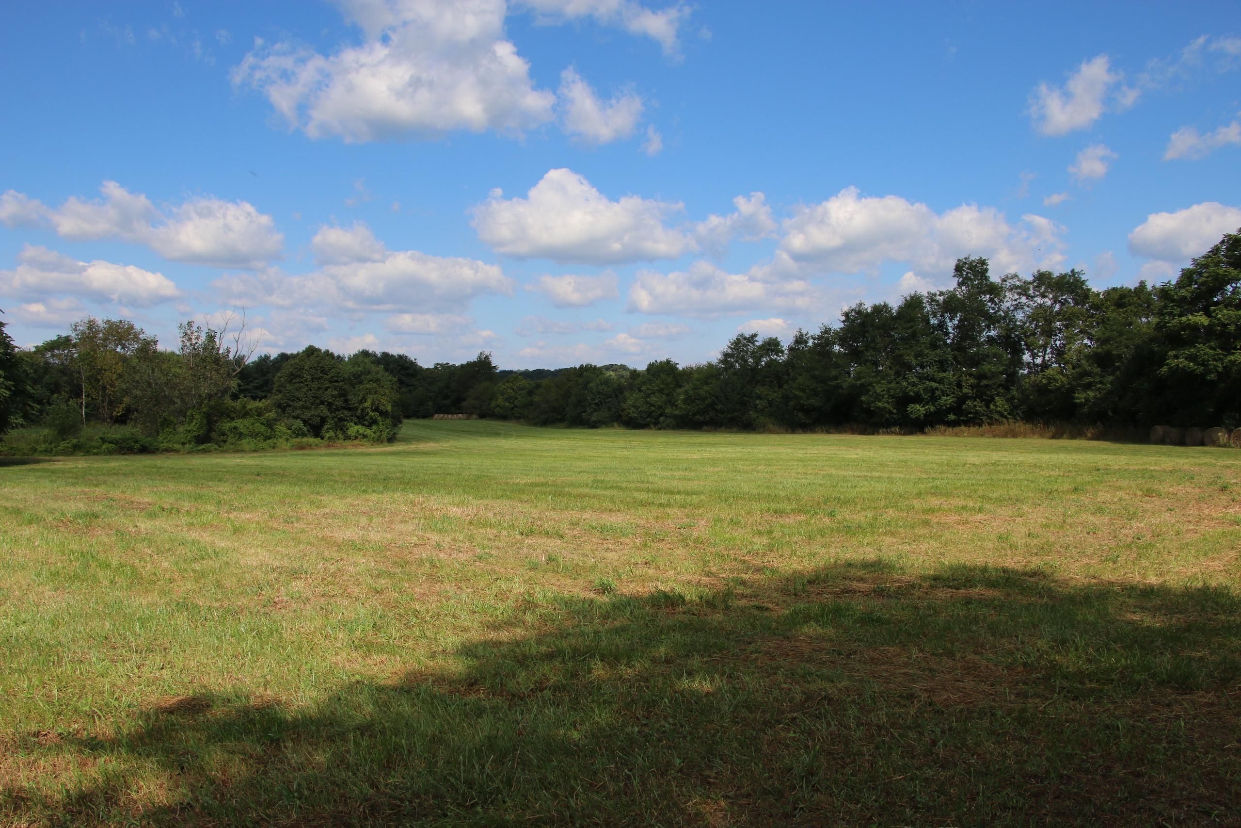 New Market, Shenandoah County, VA Recreational Property, Timberland