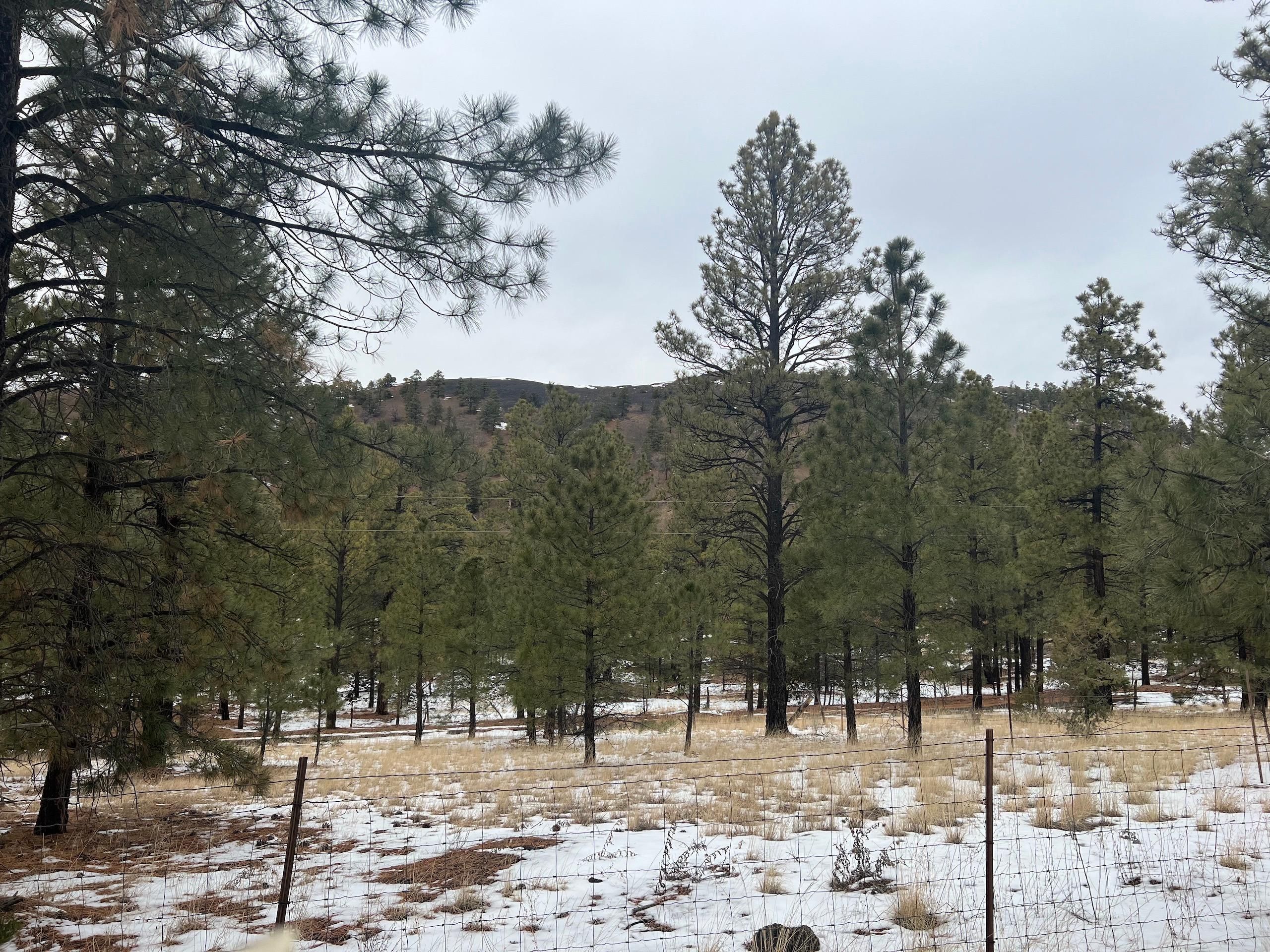 Grants, Cibola County, NM Farms and Ranches, Hunting Property for sale