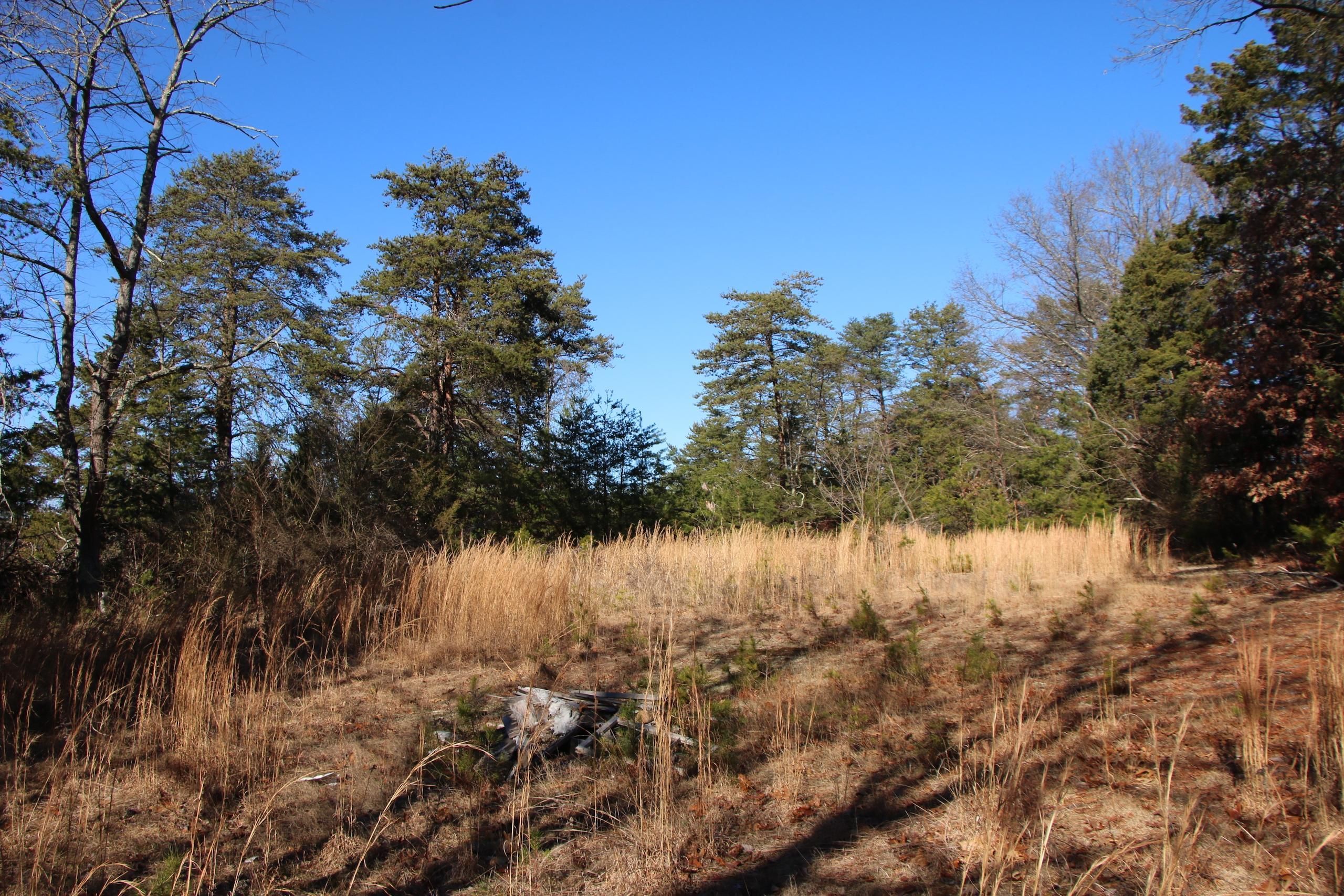 Front Royal, Warren County, VA Recreational Property, Timberland Property, Hunting Property for