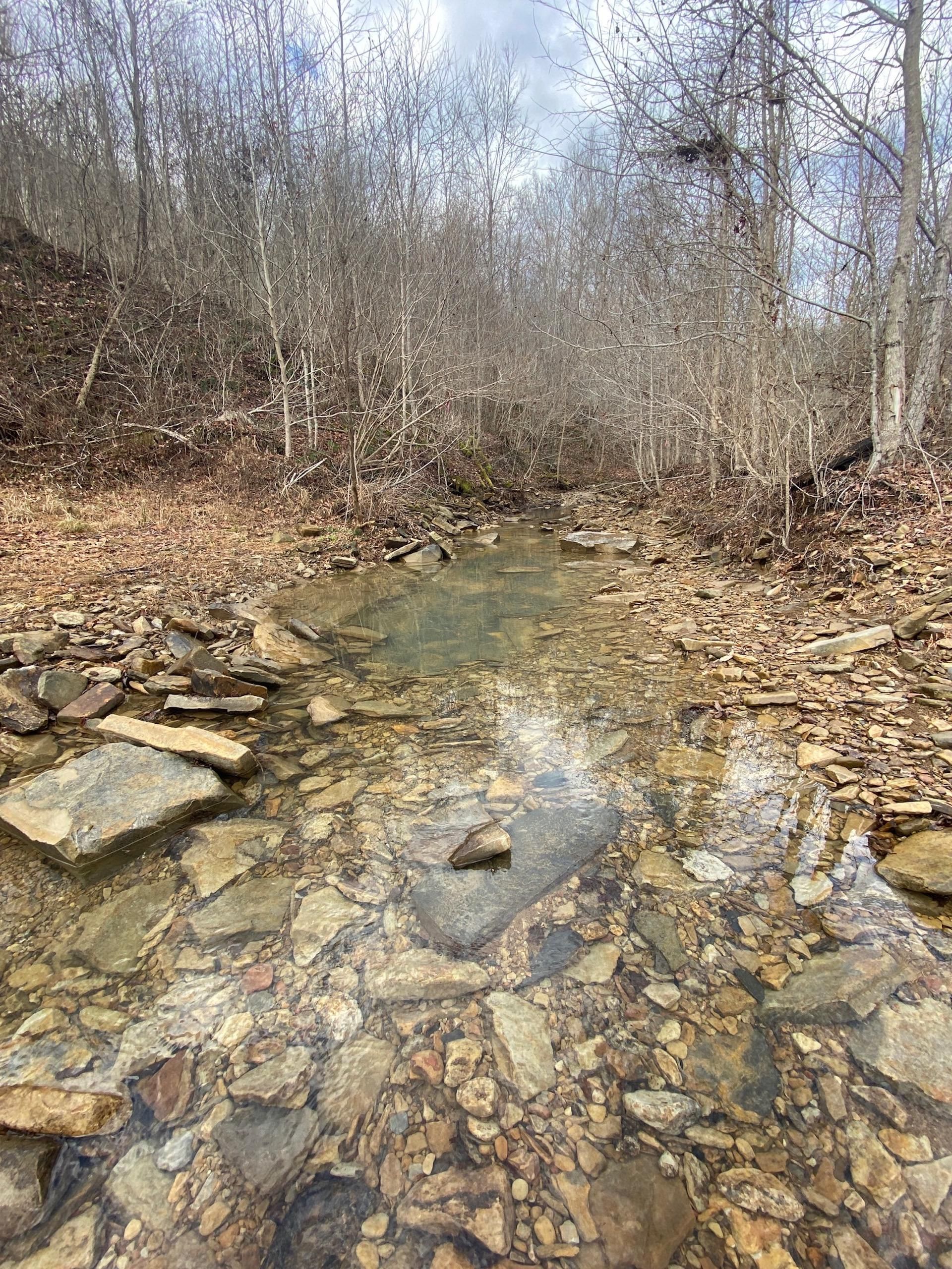 Stout, Adams County, OH Recreational Property, Timberland Property, Hunting Property, Homesites