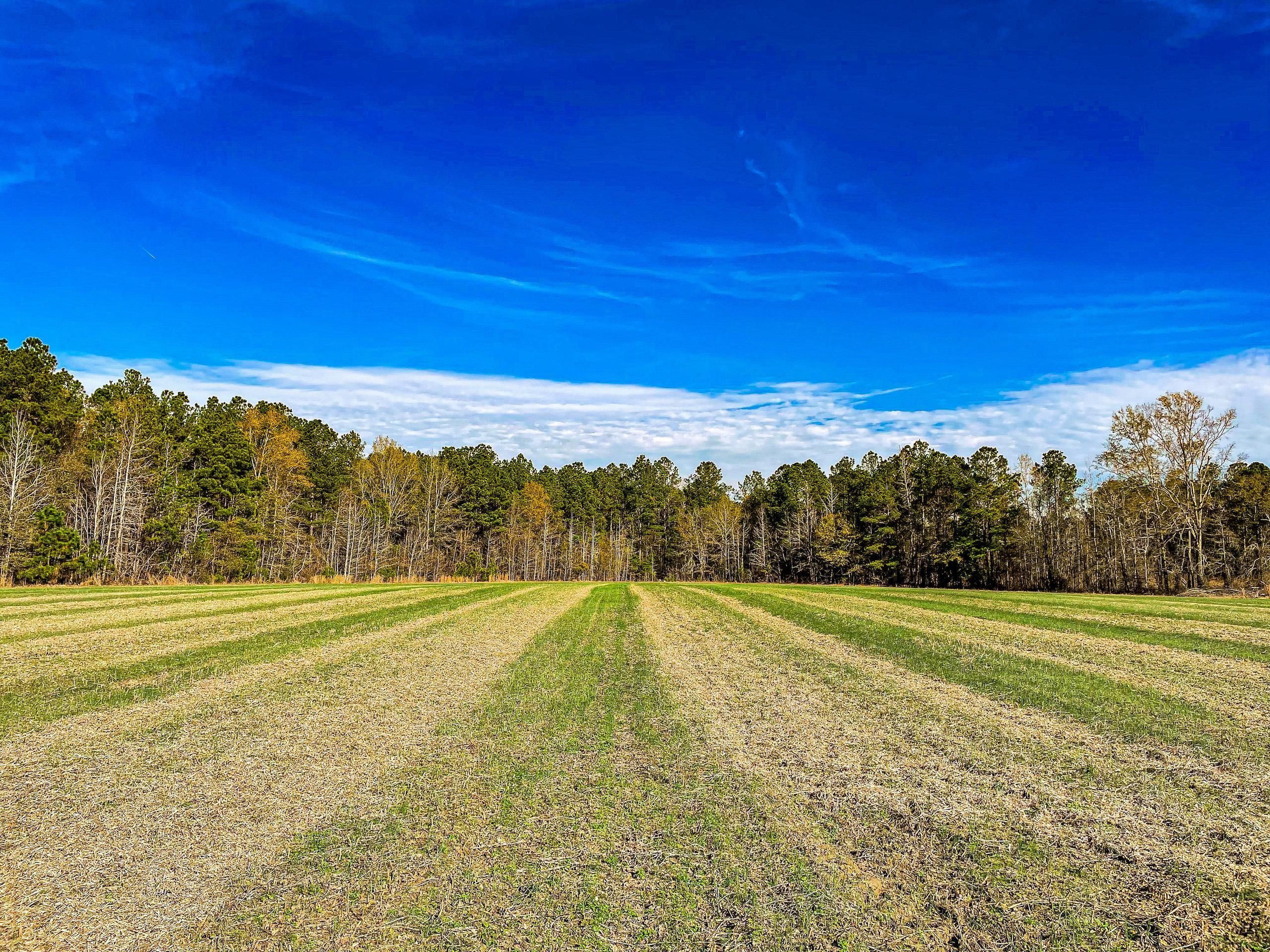 Haymount Road, LotWP001, Latta, SC 29565 LandWatch