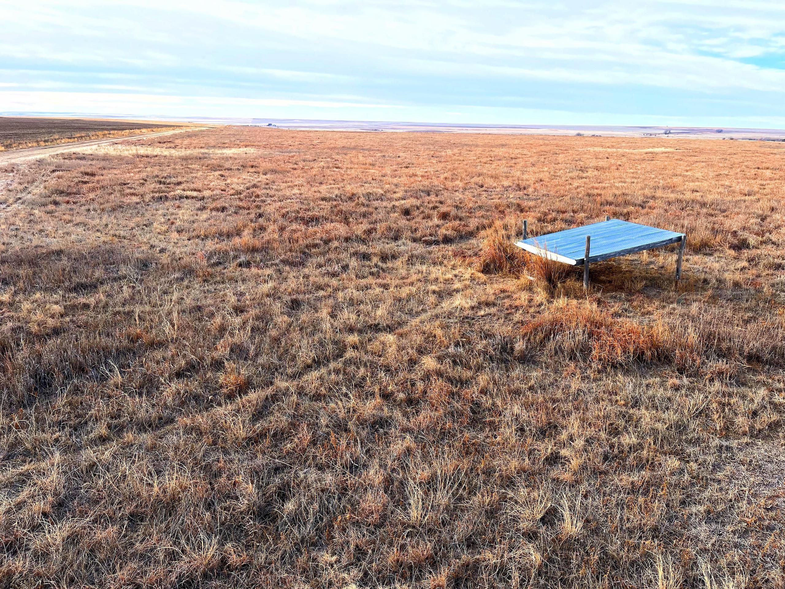 Dighton, Lane County, KS Farms and Ranches, Recreational Property