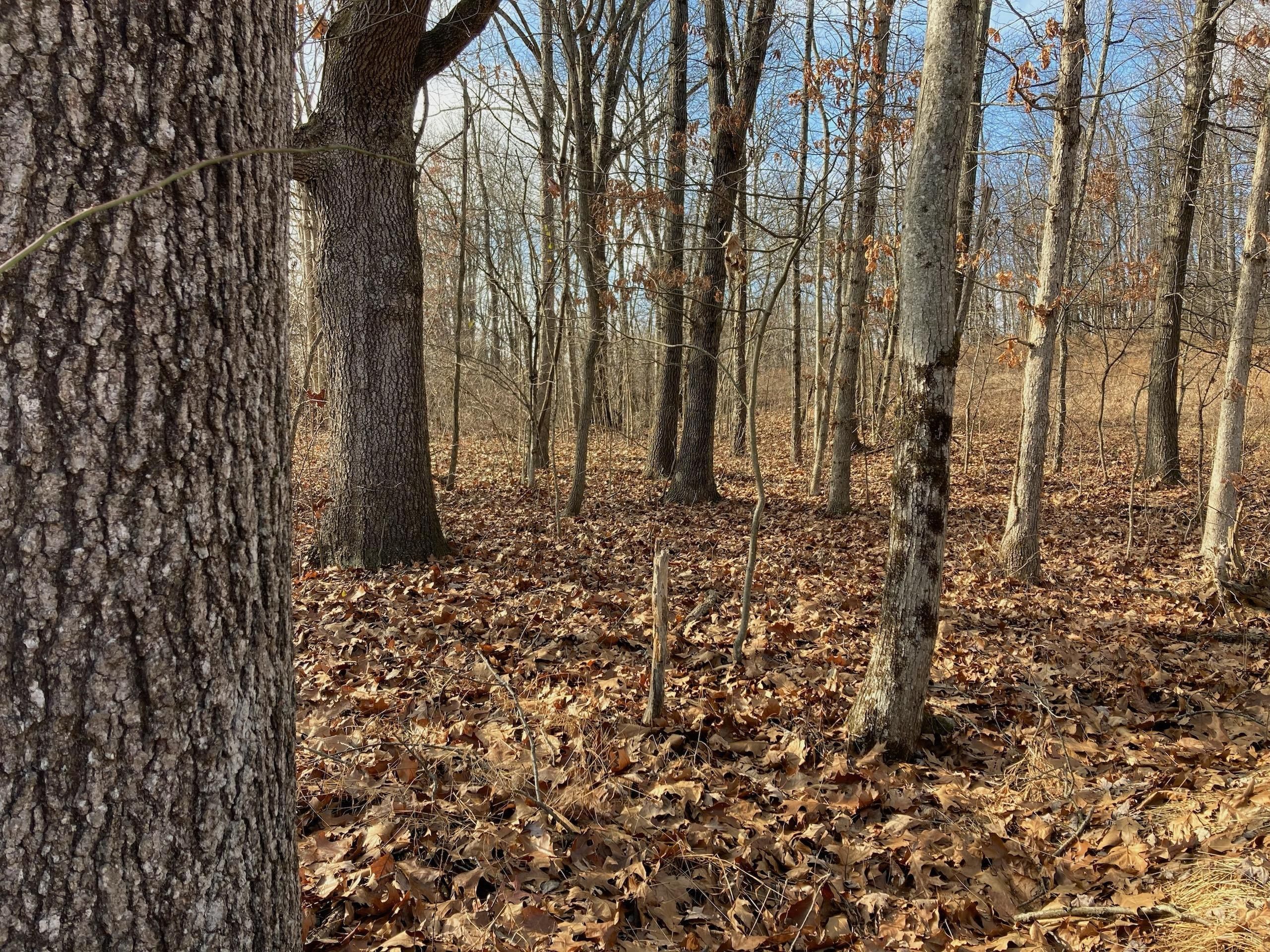 Frazeysburg, Licking County, OH Recreational Property, Timberland Property, Hunting Property