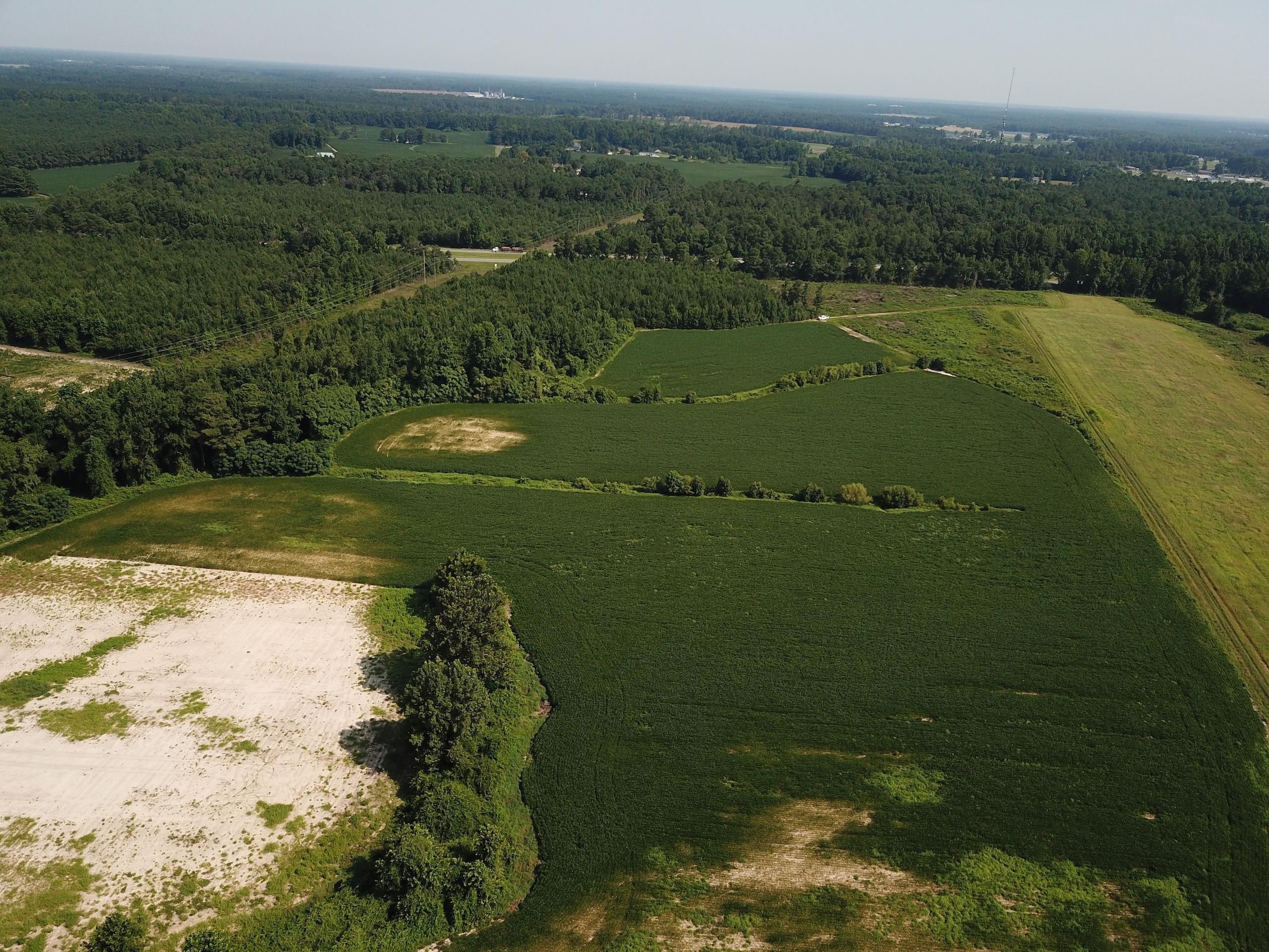 Magnolia, Duplin County, NC Recreational Property, Timberland Property
