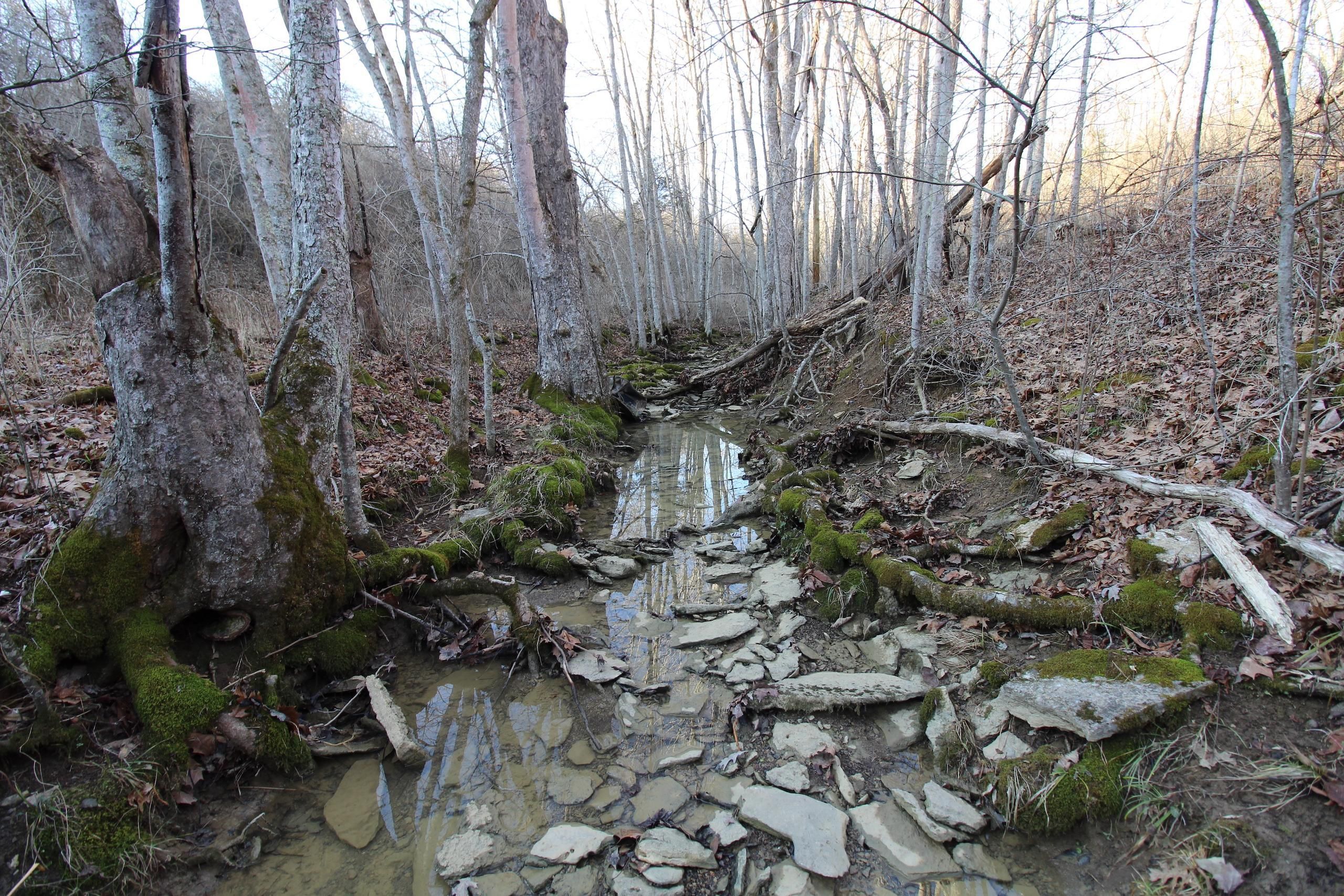 Manchester, Adams County, OH Recreational Property, Timberland Property, Hunting Property for