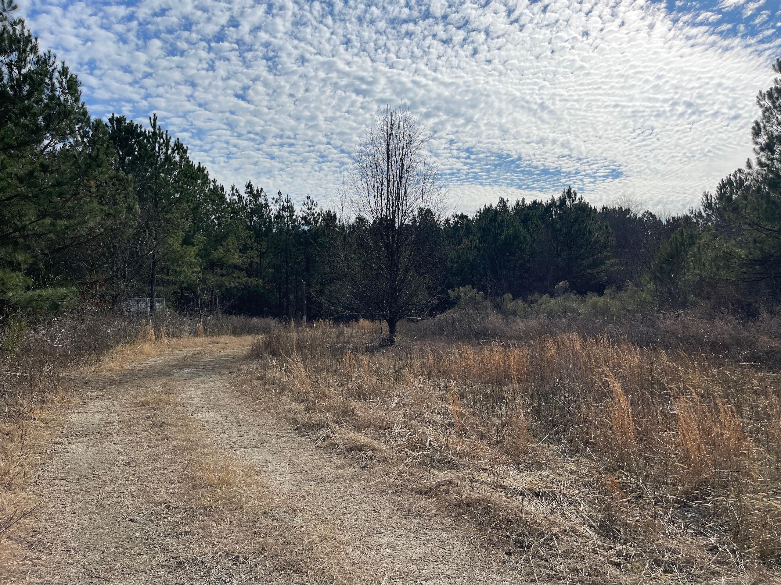 Selma, Johnston County, NC Recreational Property, Timberland Property