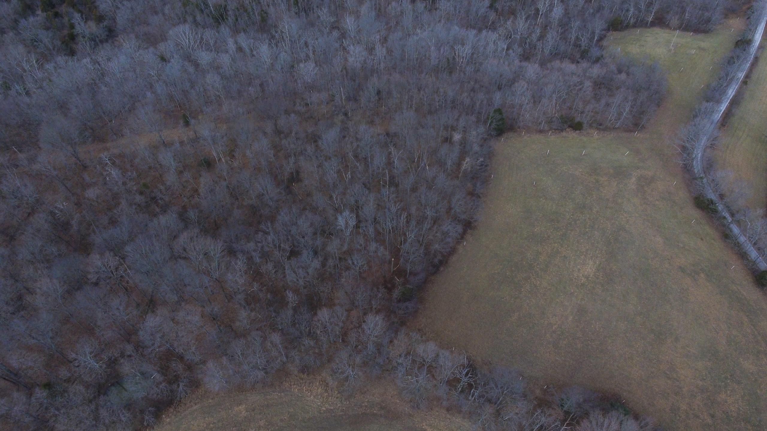 Mackville, Washington County, KY Recreational Property, Timberland