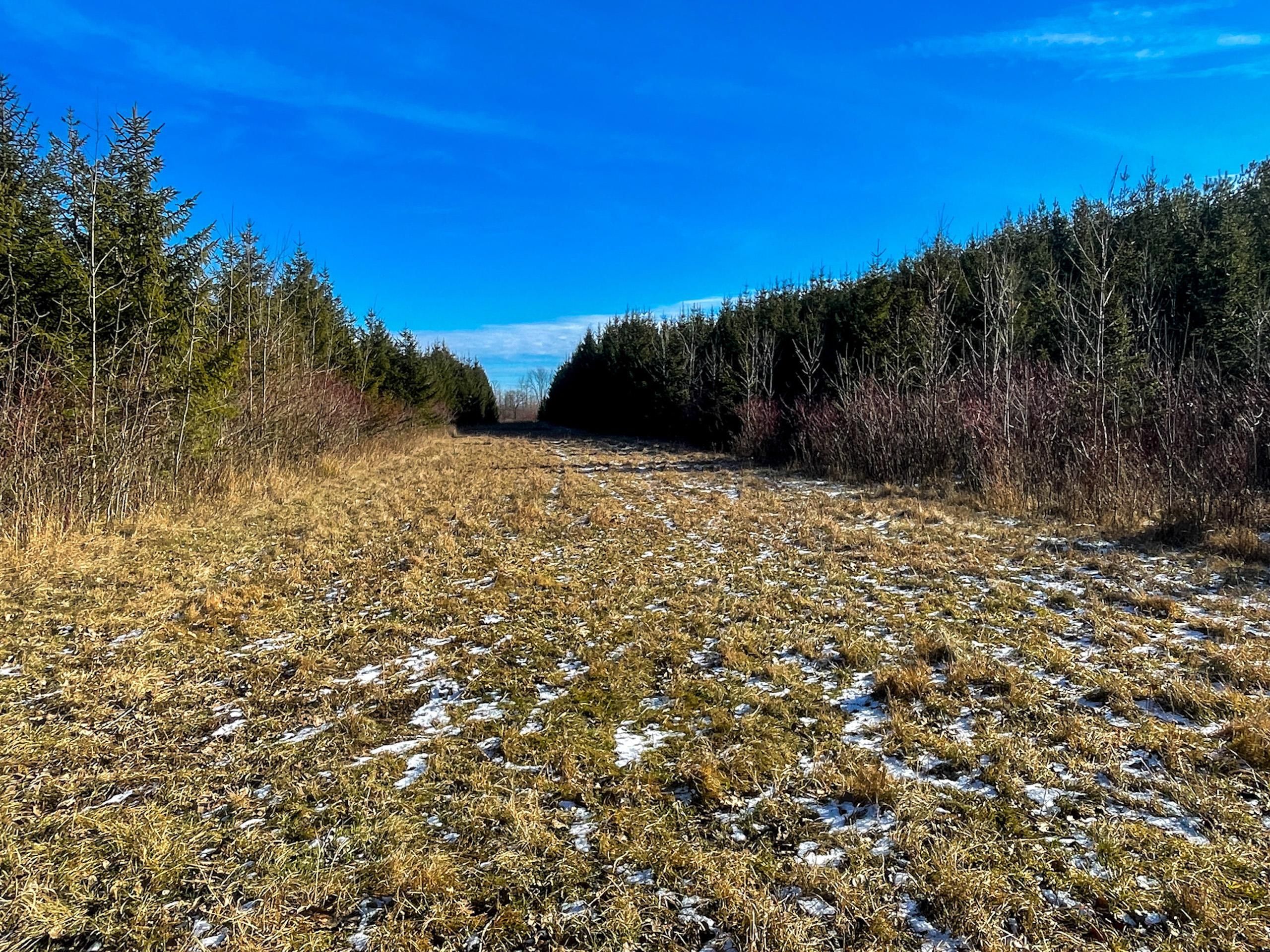 Port Hope, Huron County, MI Recreational Property, Timberland Property