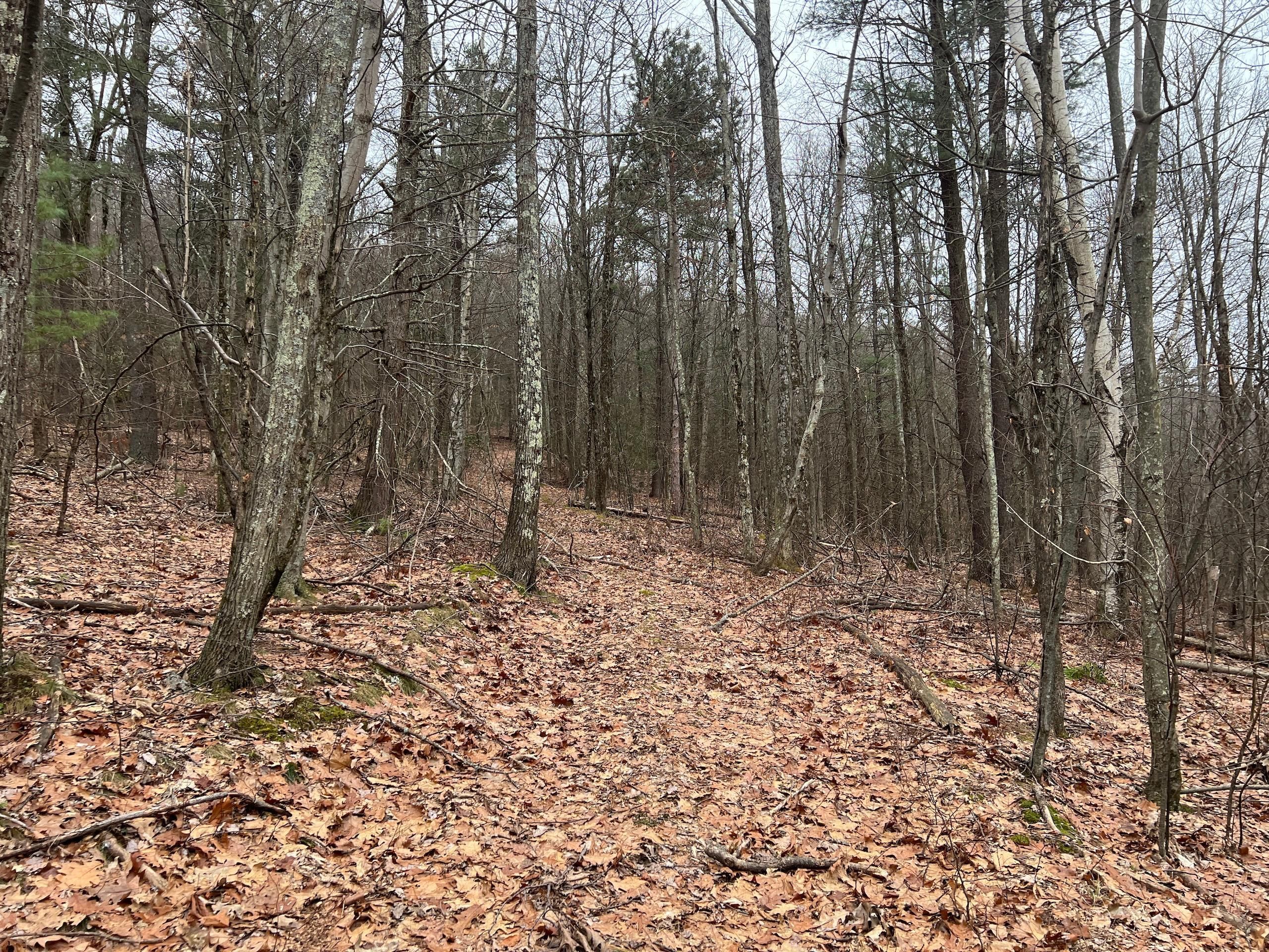Mehoopany, Wyoming County, PA Recreational Property, Timberland
