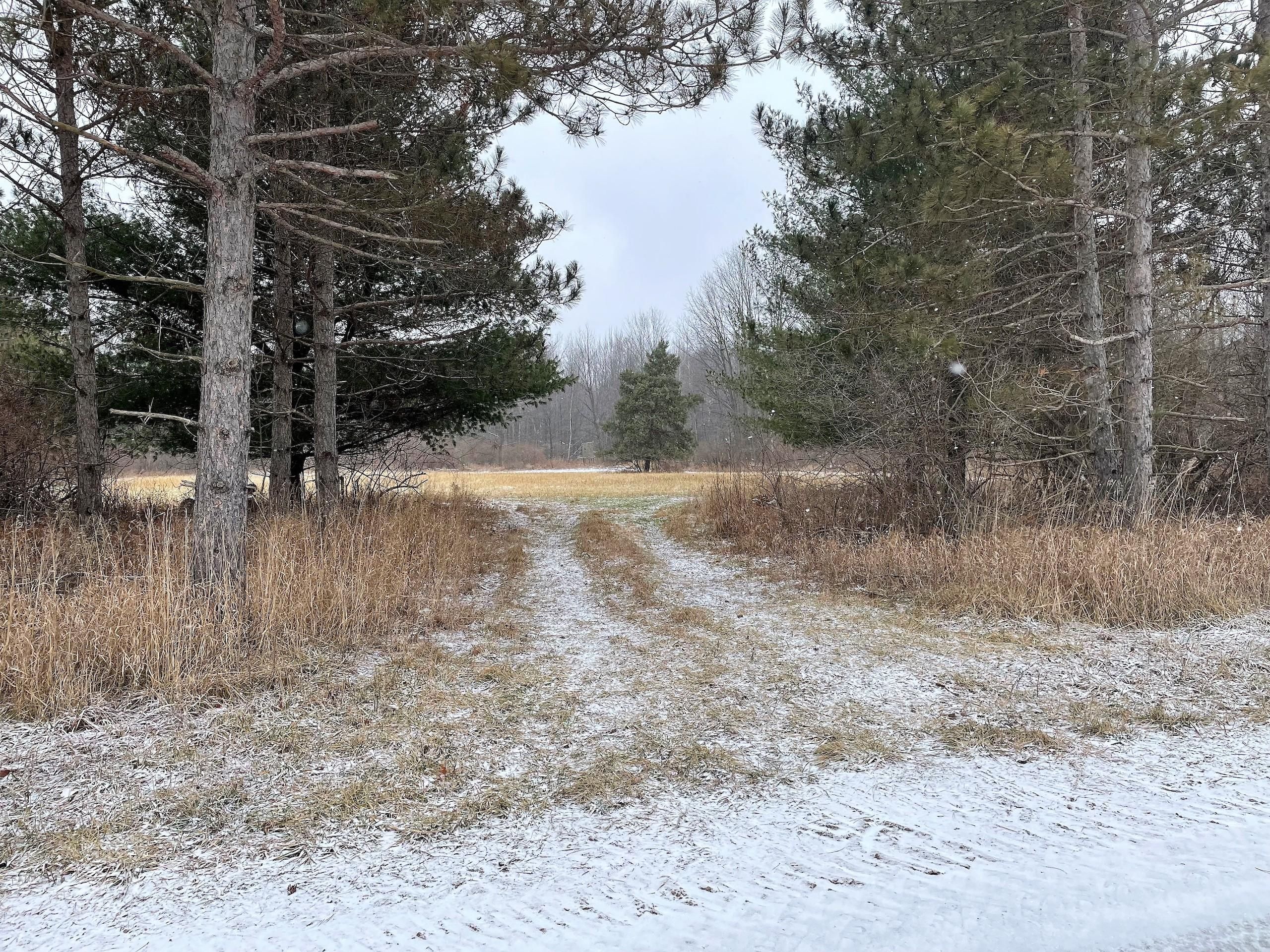 Deford, Tuscola County, MI Recreational Property, Timberland Property
