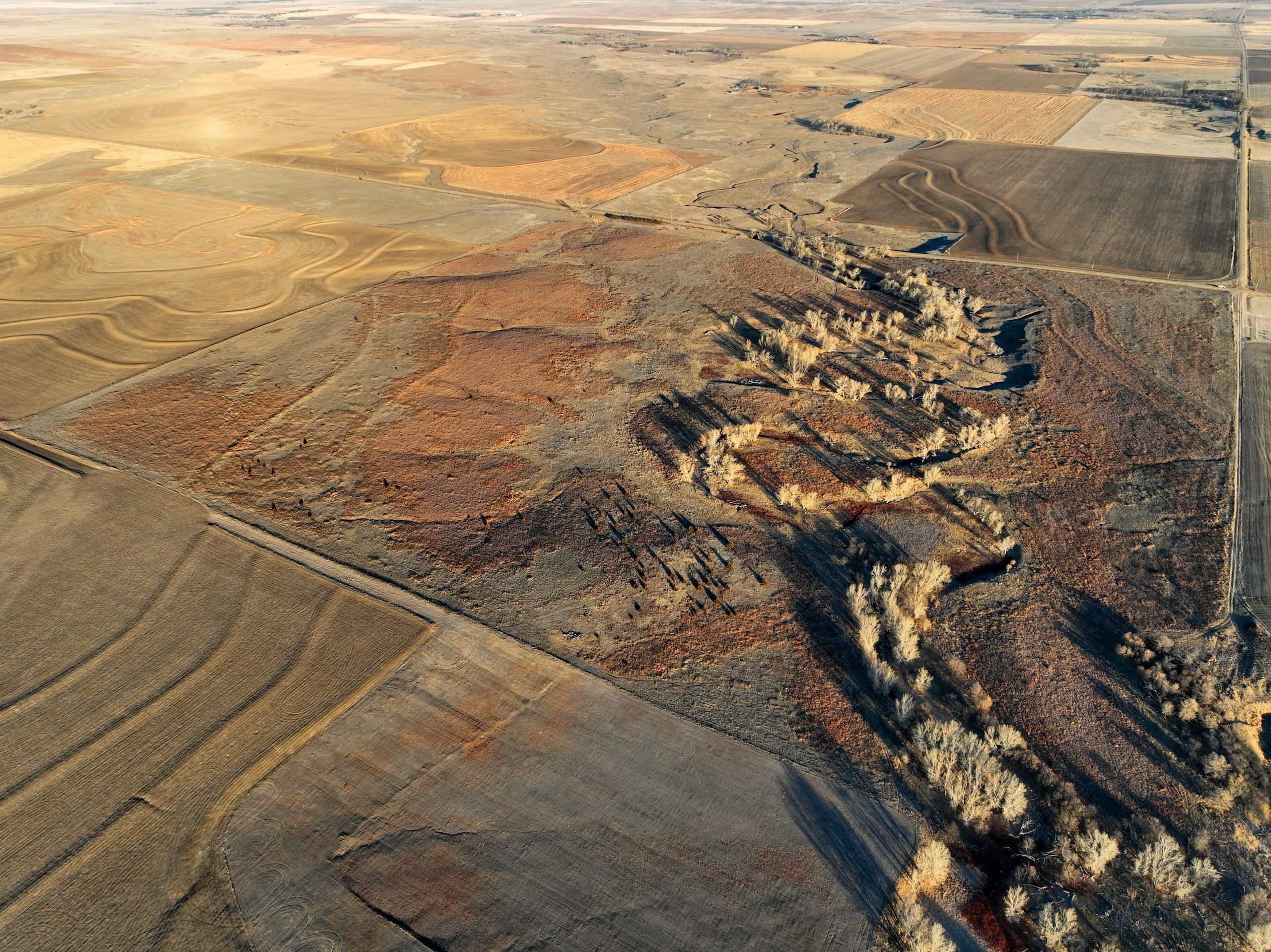 McCracken, Ness County, KS Farms and Ranches, Timberland Property