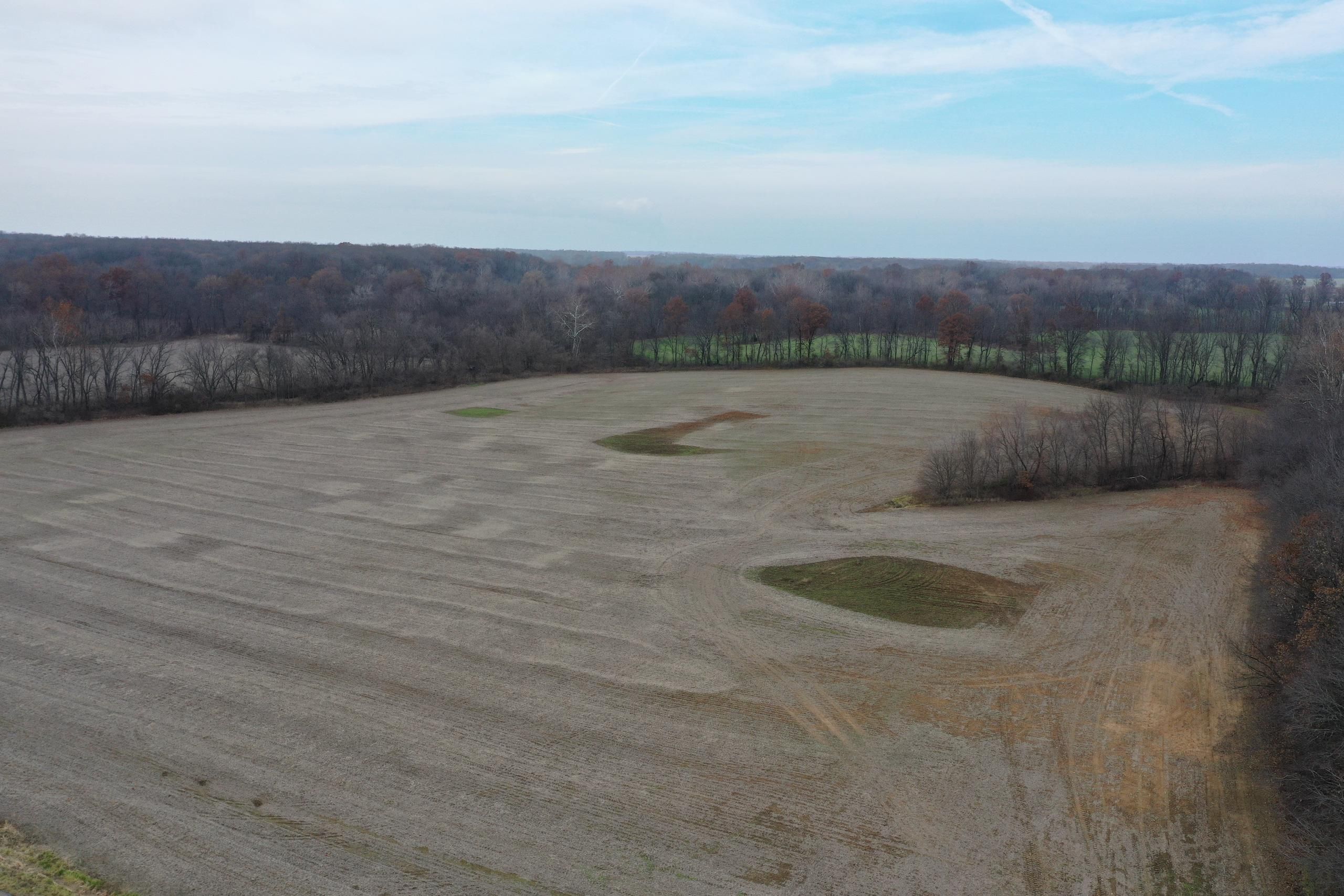 Coulterville, Perry County, IL Hunting Property for sale Property ID