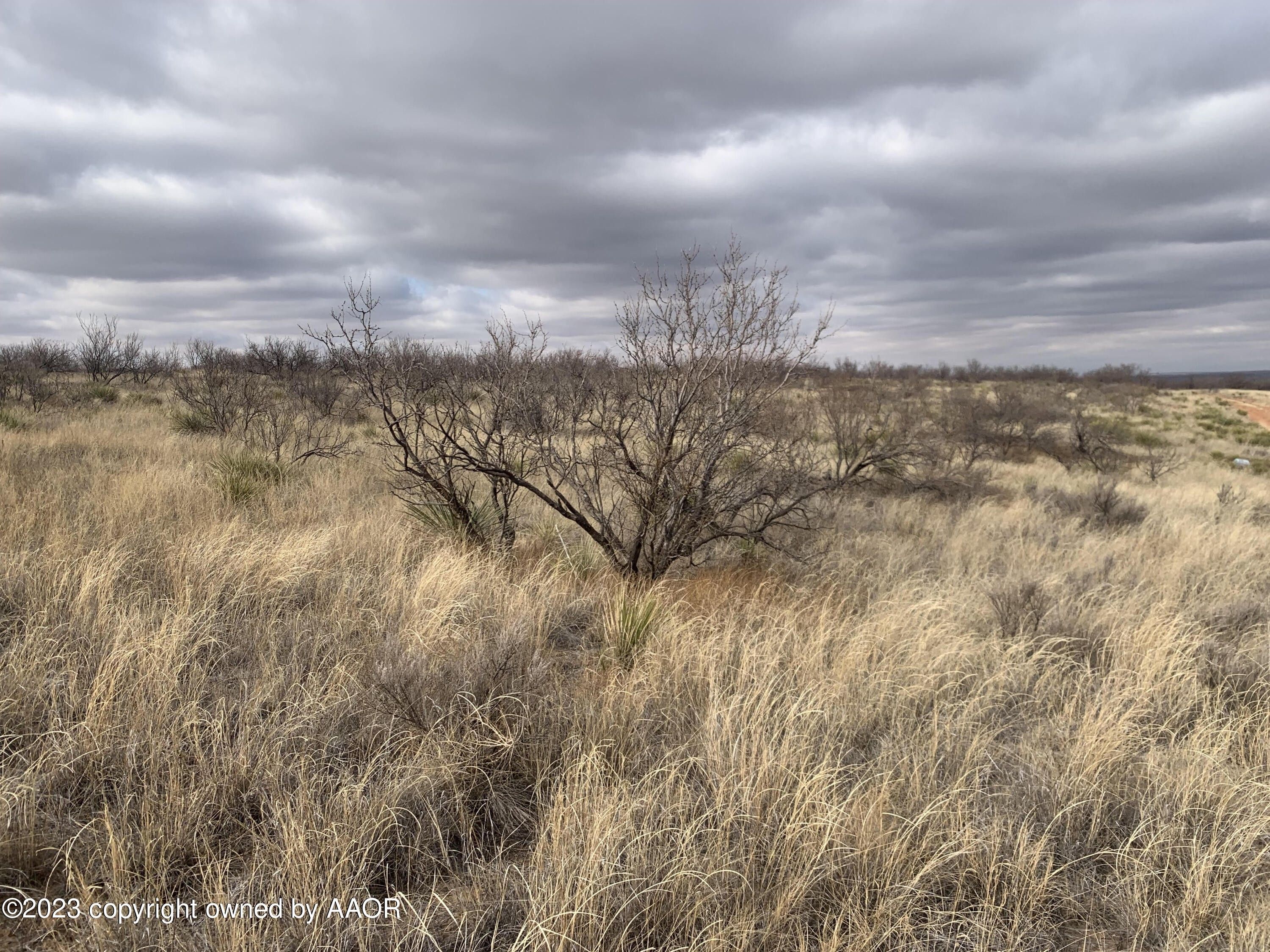 Valle De Oro, Potter County, TX Farms and Ranches for sale Property ID 415651965 LandWatch