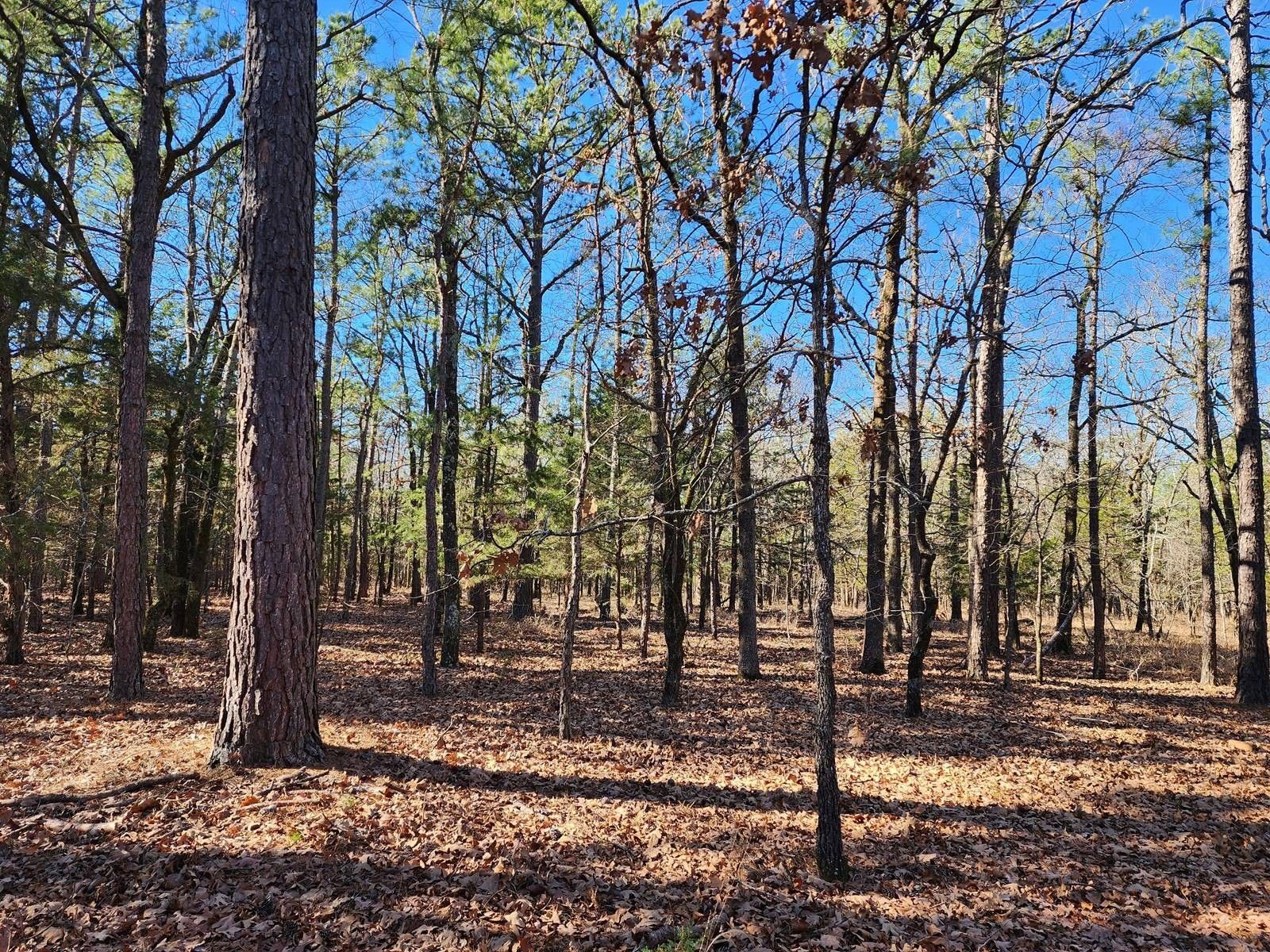 Tuskahoma, Pushmataha County, OK Farms and Ranches, Lakefront Property