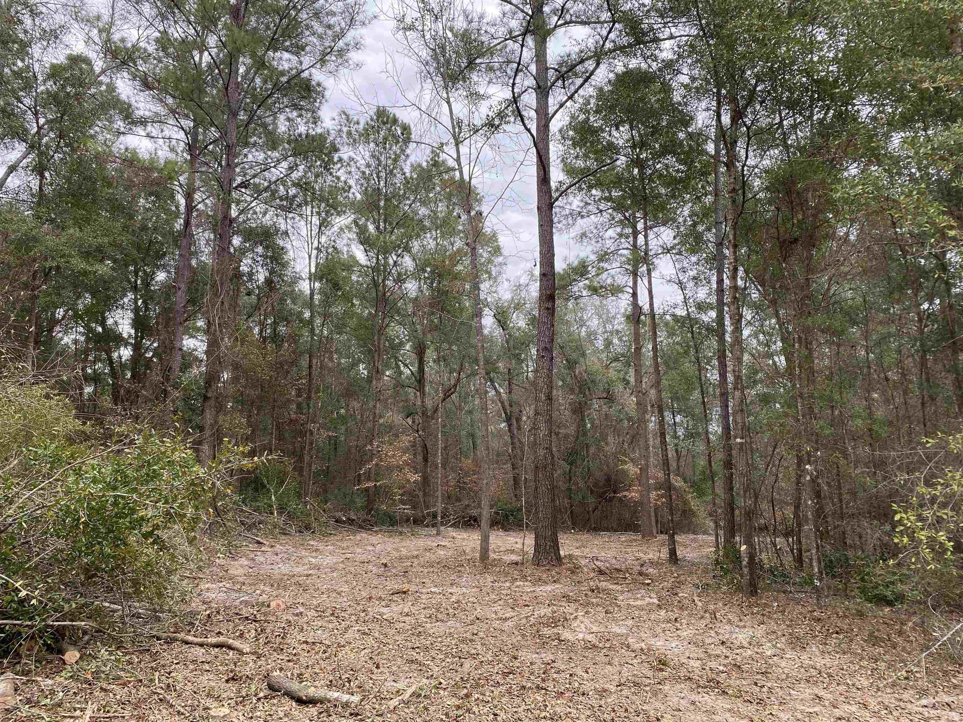 Crawfordville, Wakulla County, FL Farms and Ranches, Homesites for sale